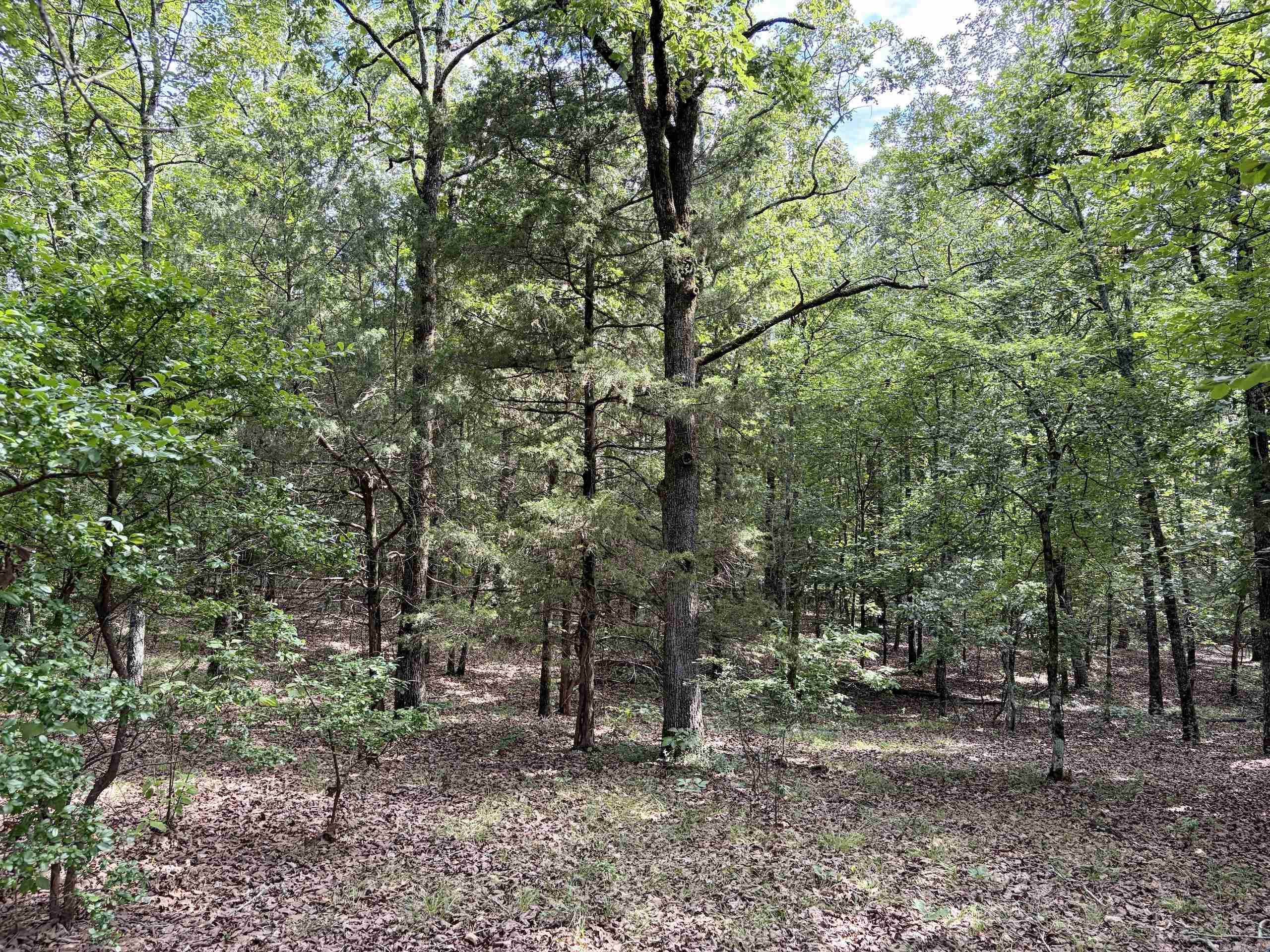 Not in Subdivision - Land