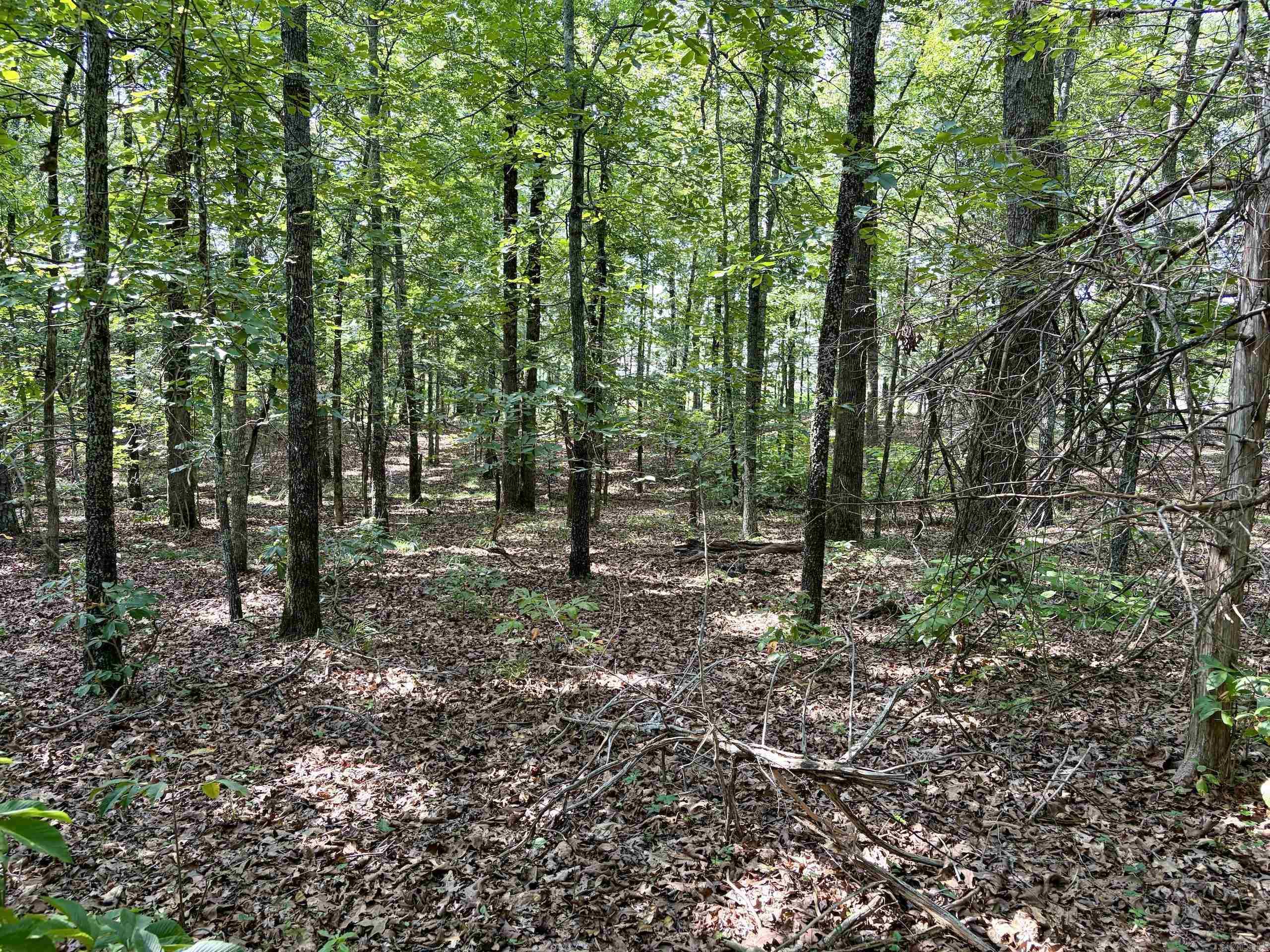 Not in Subdivision - Land