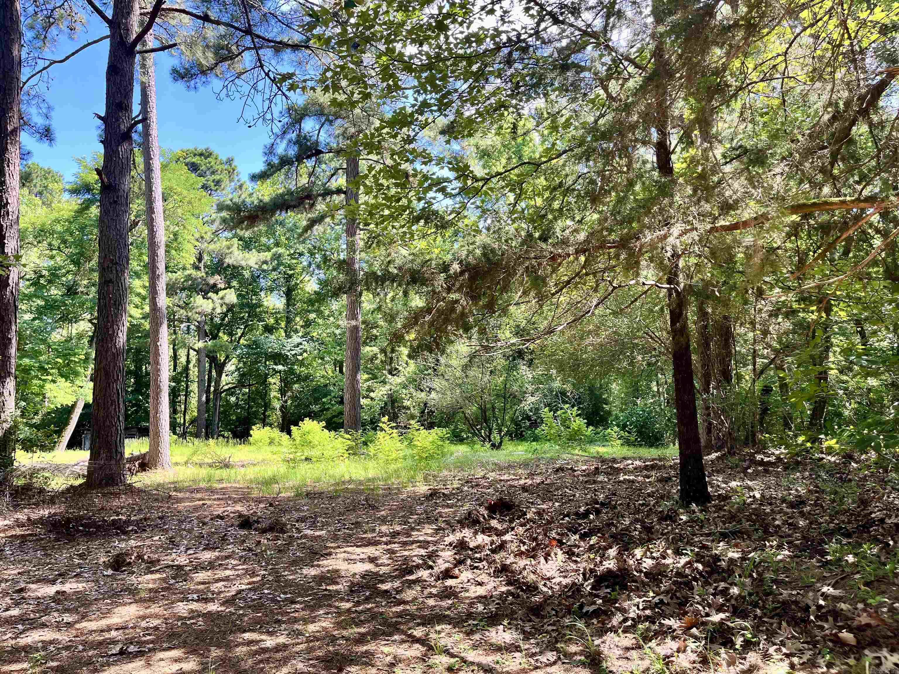 Hi, I’m 130 Dallas 216 — a beautiful 40 +/- acre property in Dallas County offering the perfect mix of natural beauty and opportunity. I feature a blend of wooded and cleared acreage, giving you flexibility for recreation, exploring, a future homesite, or simply enjoying the outdoors. I also have NO RESTRICTIONS!! With natural springs, a pond, and peaceful surroundings, I offer a setting full of character and possibilities. Whether you’re looking for a private retreat, a place to enjoy nature, or acreage with room to make your vision a reality, I may be what you've been looking for.
