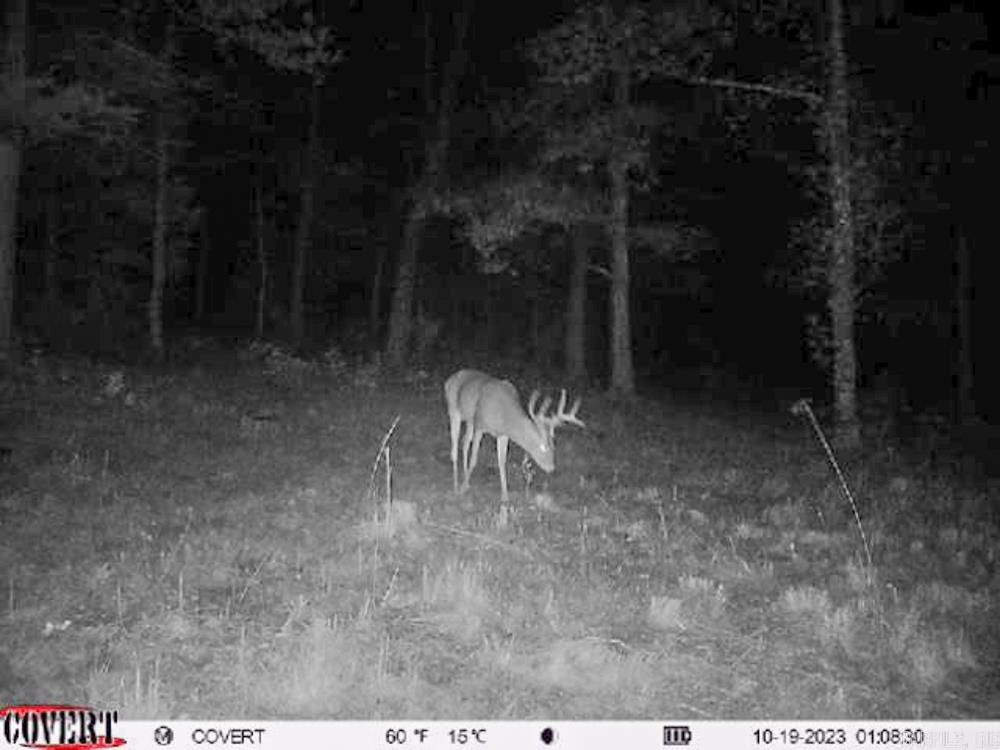 Not in List - Land