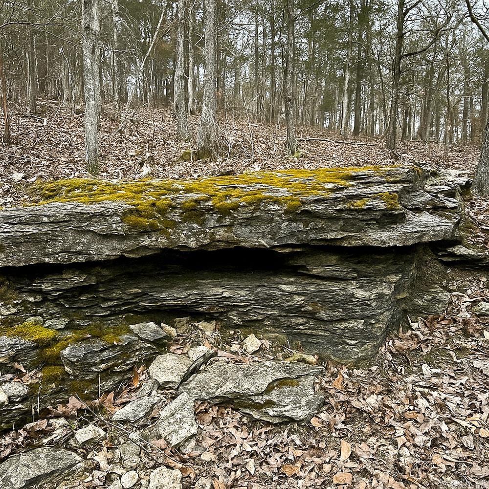 45.7± acres south of Ash Flat with approx. 350’ of highway frontage. A winding drive through an arched entryway leads to a hilltop homesite with valley views. Two concrete pads in place. 42’ x 40’ for a home, 36’ x 40’ for a shop. Utilities including city water, NAEC electricity, NEXT Fiber internet, and septic. Rolling topography with open ground, marketable hardwood timber, and trails throughout. Surface water includes a small pond and seasonal creek, with potential for an additional pond in the valley. Abundant wildlife: deer, turkey, and small game—live on the front and hunt on the back. Ideal for a private residence, recreational retreat, hunting property, or small farm. Convenient location ½ mile south of Ash Flat city limits while offering privacy and Ozark seclusion. No restrictions.