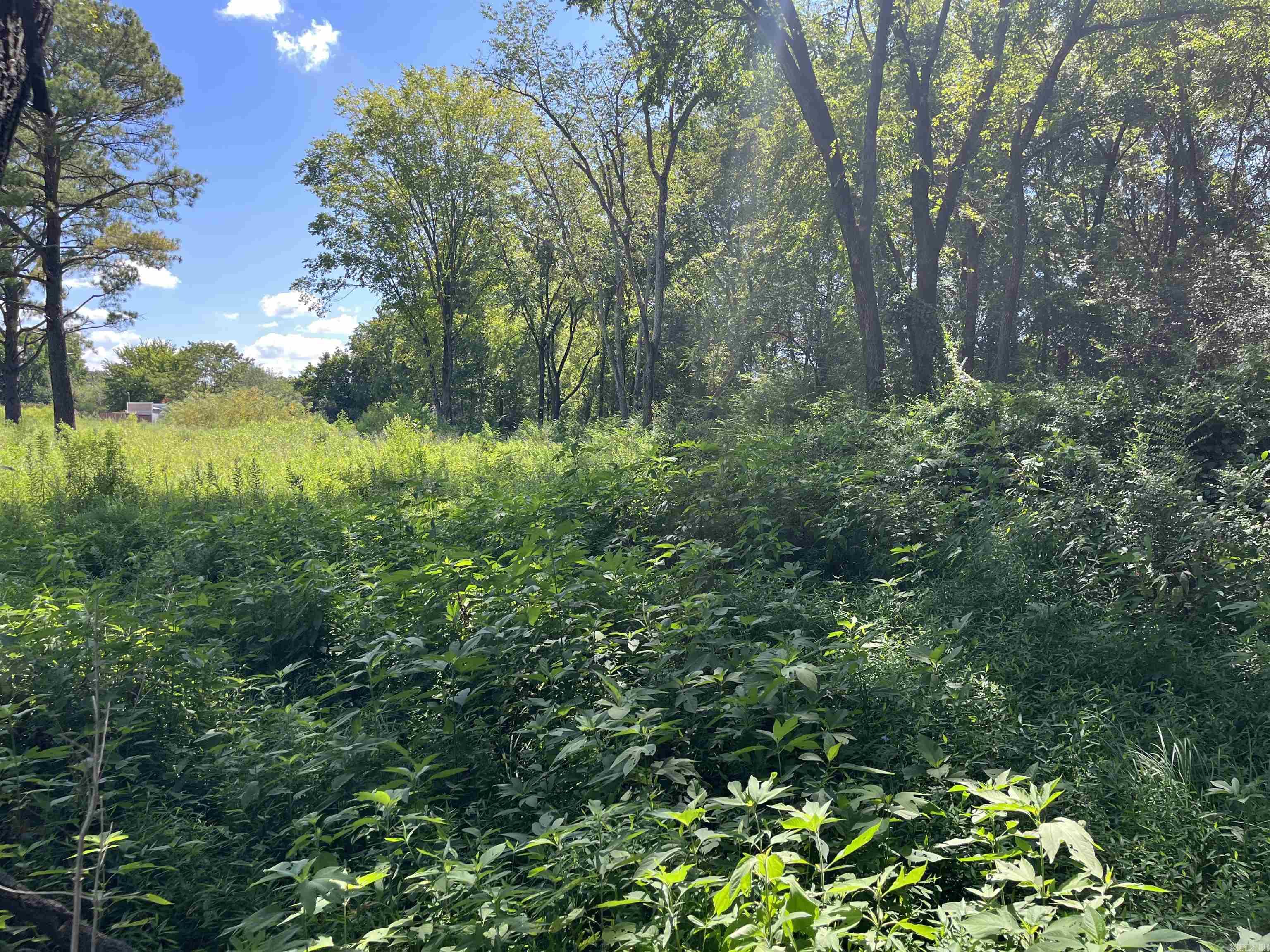 Rose Bud Outlots - Commercial Sale
