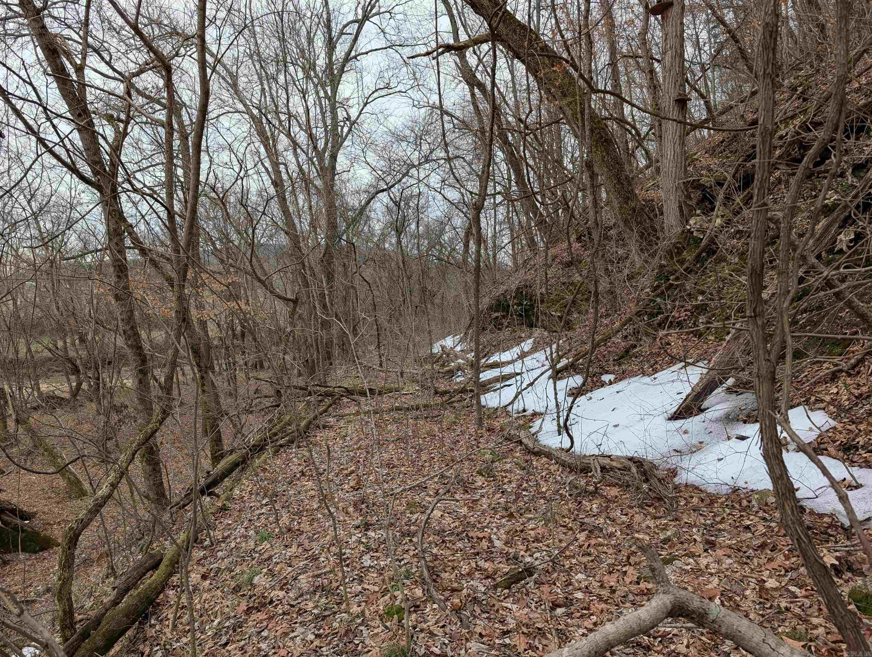 Osage - Land