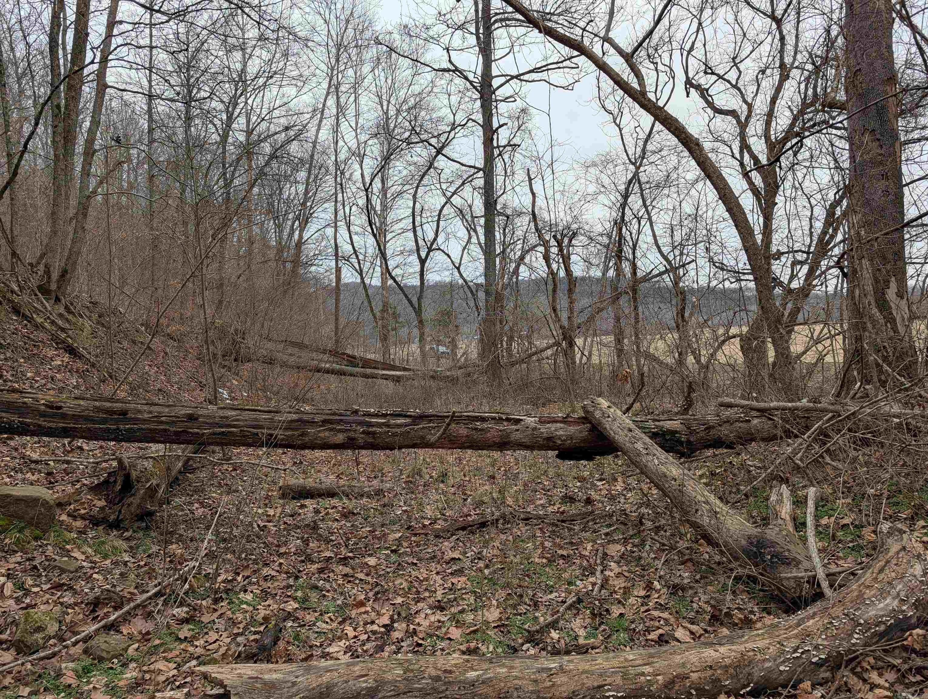 70 acres fronting on Hwy 412 West - 1.25 miles West of Osage AR from the Jct of 103 & Hwy 412, the 70 acres has a mixture of pasture and hardwood timber offering multiple cabin or home sites with distance views 2 ponds and a spring as well standing timber appraised for approximate $100,000 this makes a great investment as well. Call Today for additional information or to schedule an appointment to view the property.
