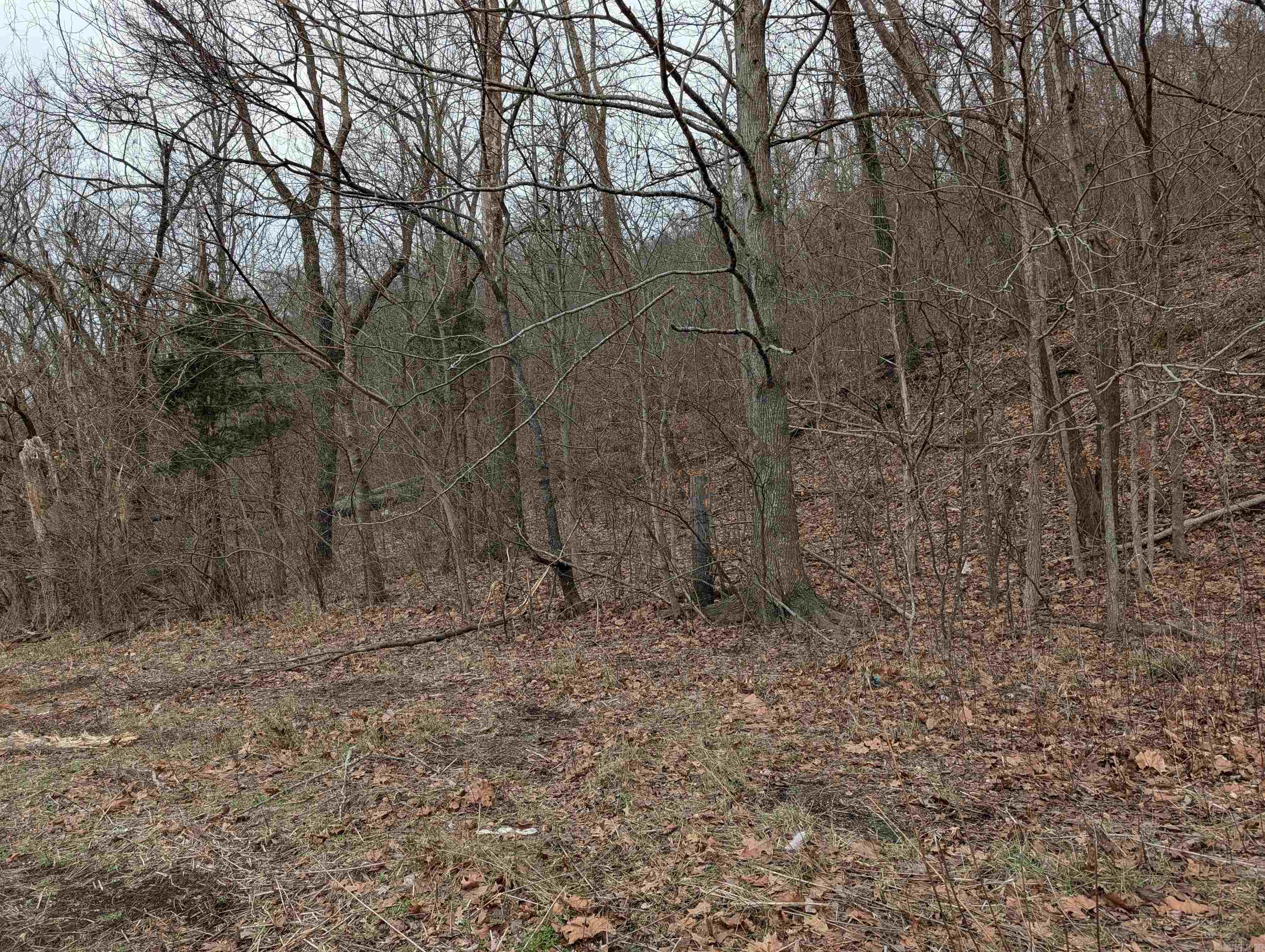 Osage - Land