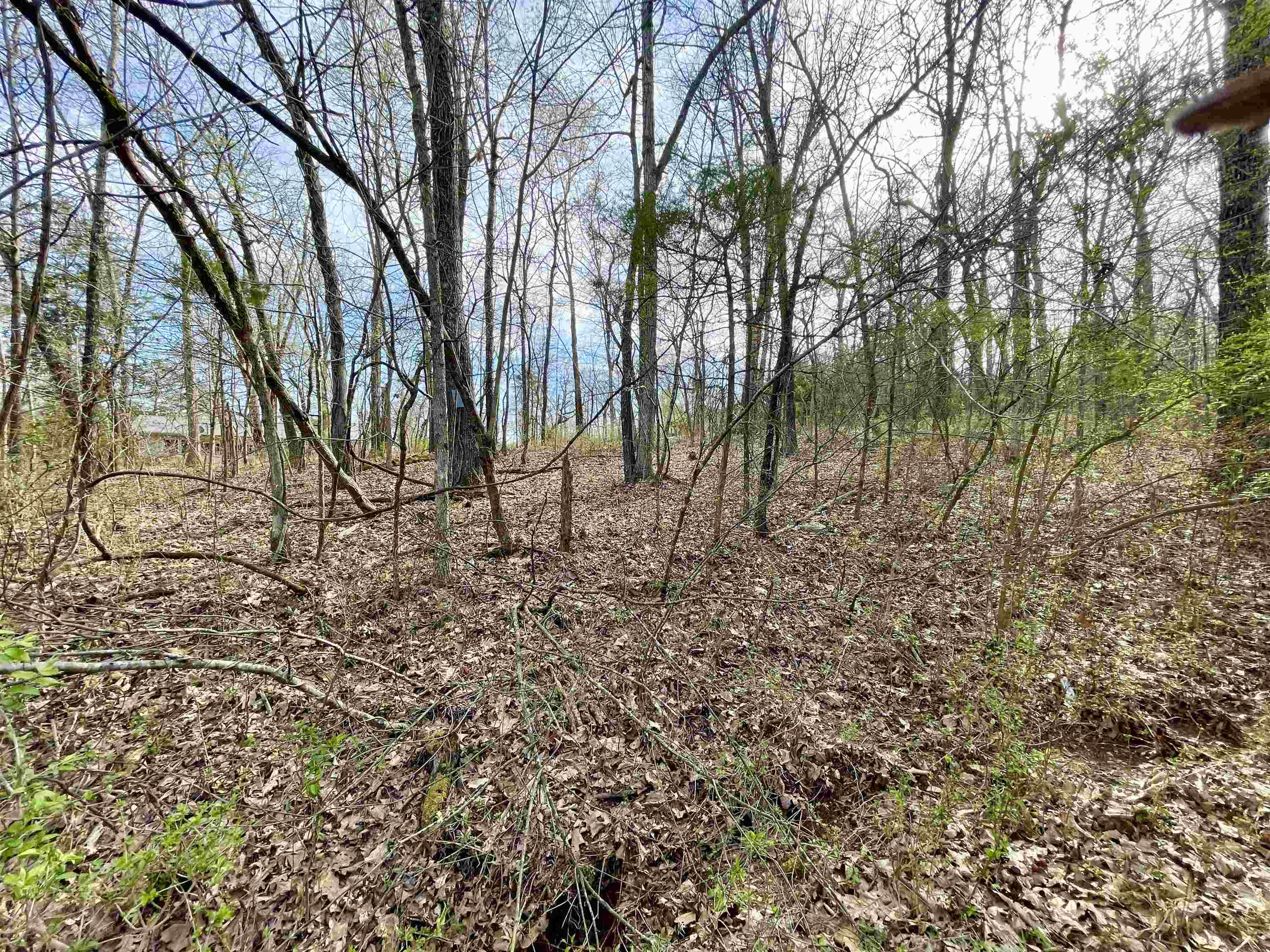 Fairway - Land