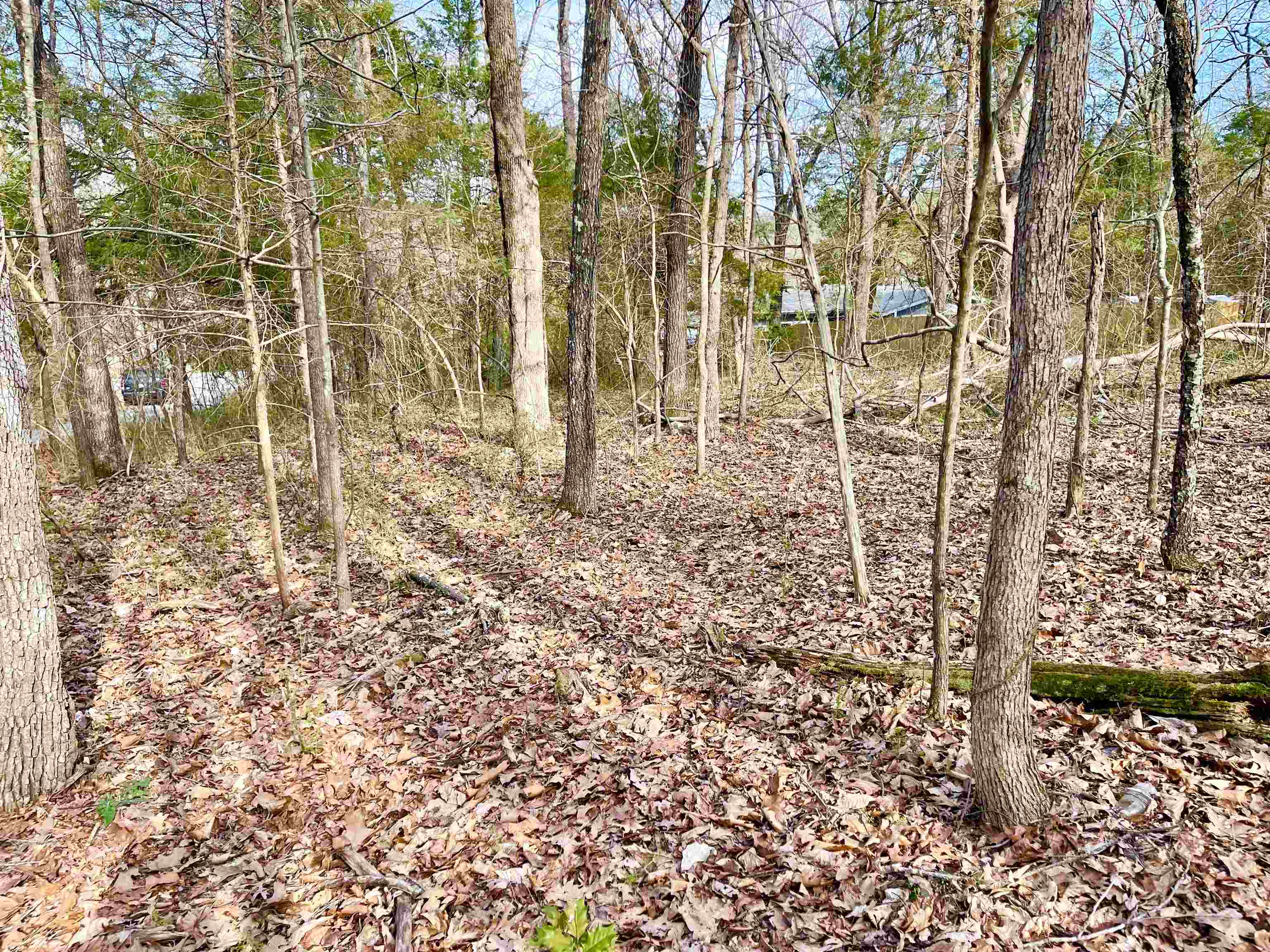 MOTIVATED SELLER! MAKE AN OFFER! $3,000 for 2 lots. Located just up the hill from the famous Southfork/Spring River in Cherokee Village AR. This .27 acre nice fairly level wooded lot is on Nokomis Drive which is a paved city street close to the Cherokee North Golf Course. Great place to build your new home. With property ownership comes access to all the amenities of Cherokee Village. 7 Lakes, 2 Golf courses, 2 recreational centers.