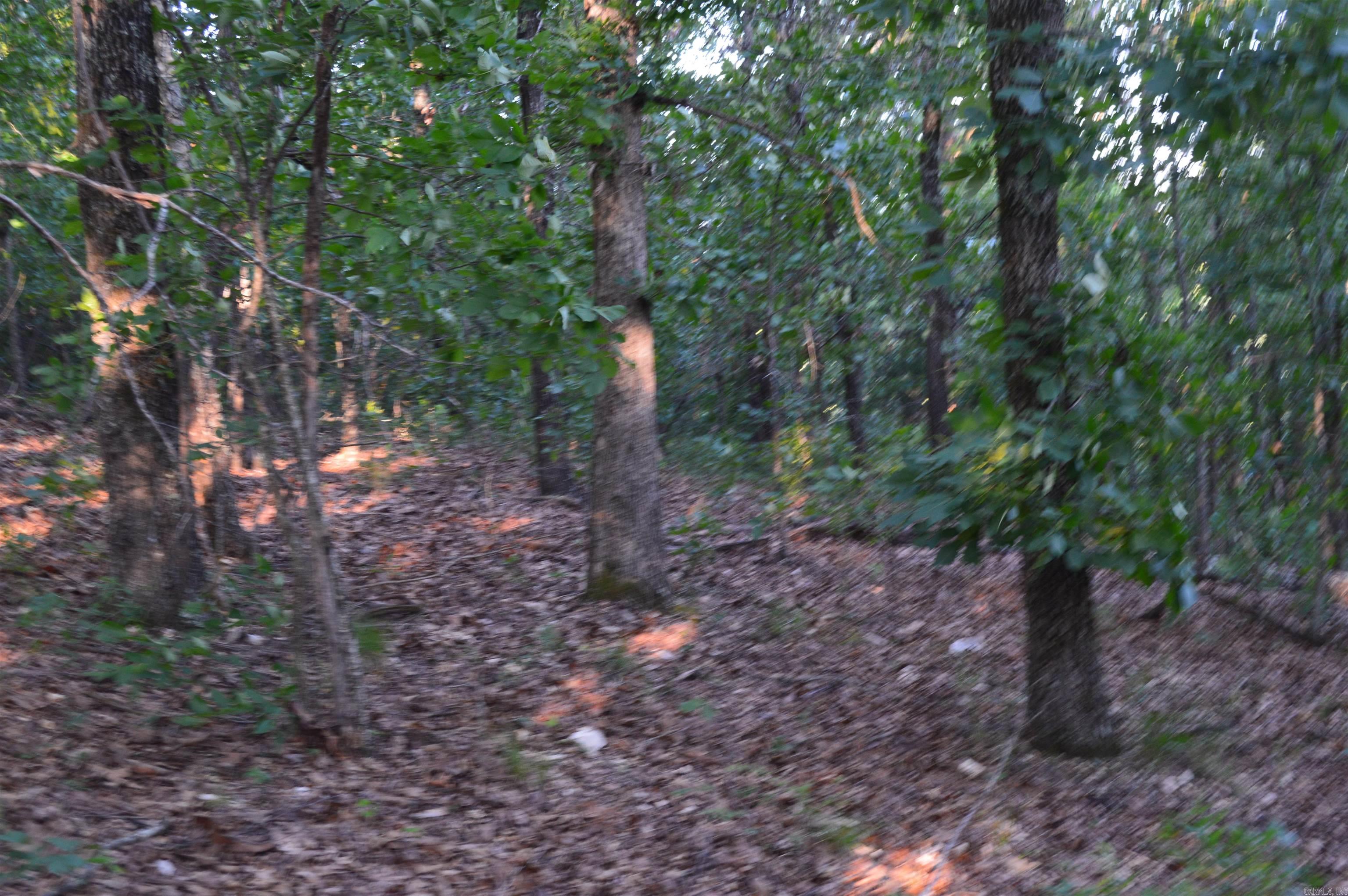 Not in Subdivision - Land