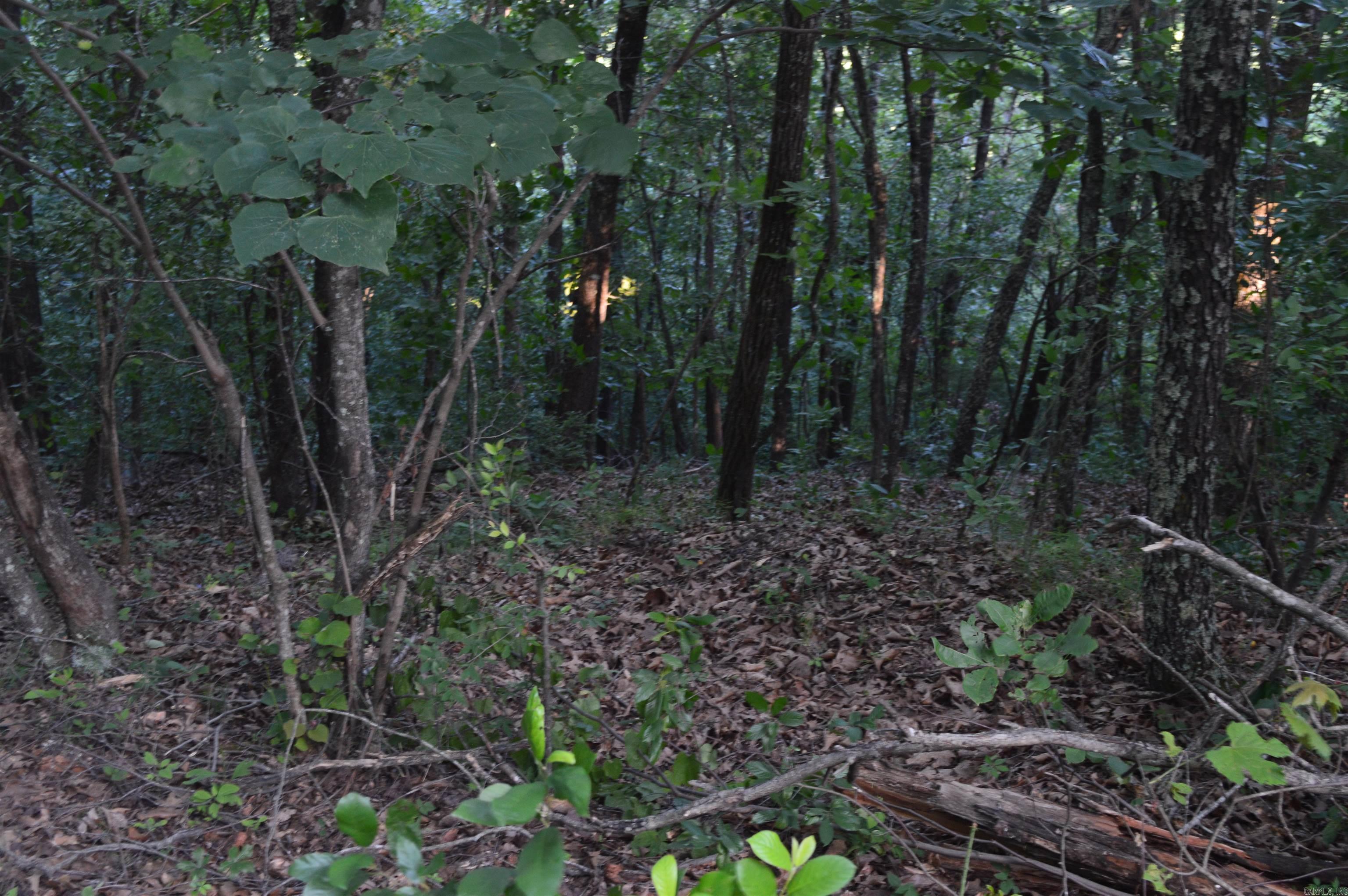 Not in Subdivision - Land