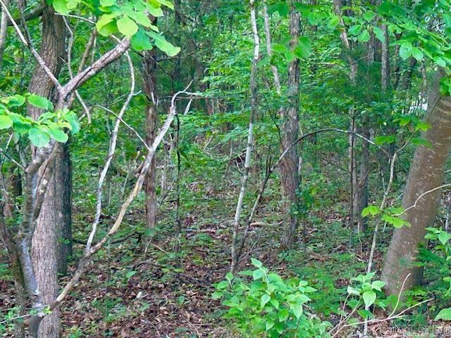 Lancaster-Tubbs Creek Homes - Land