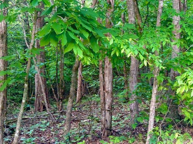 Lancaster-Tubbs Creek Homes - Land