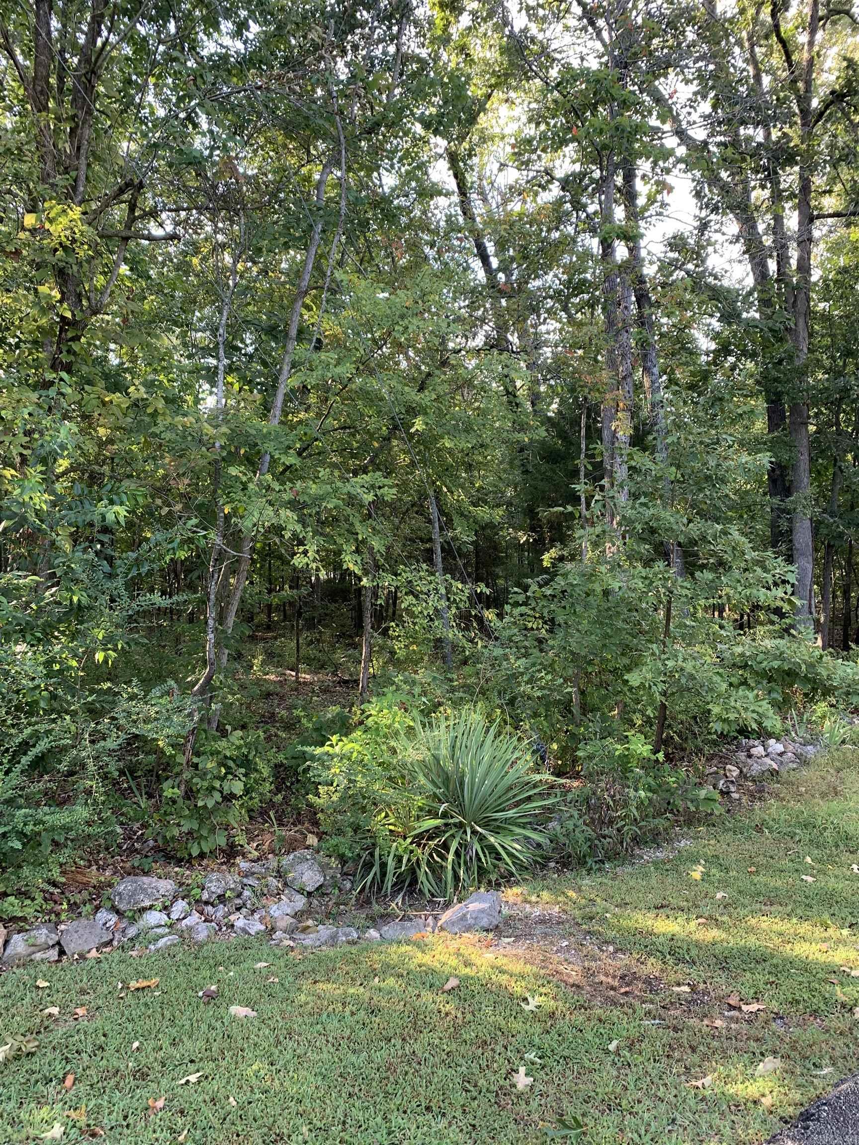 White River Estates - Land