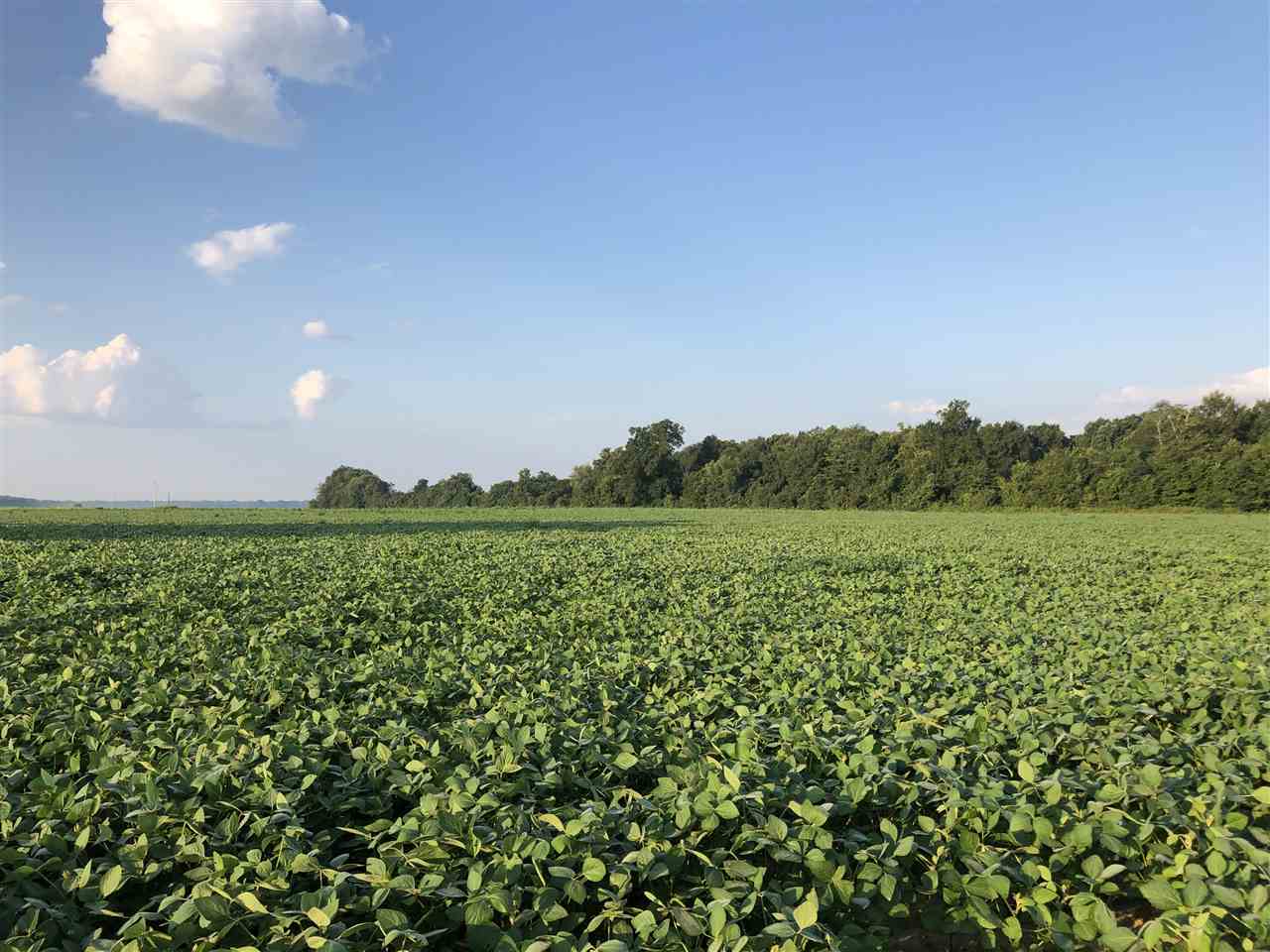 McCrory - Farm