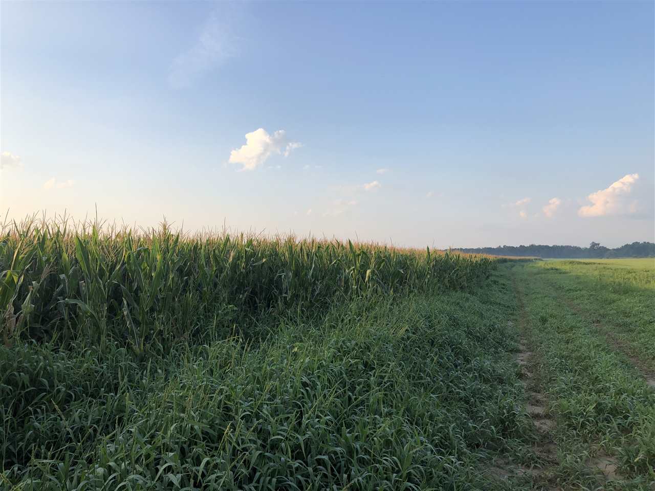McCrory - Farm
