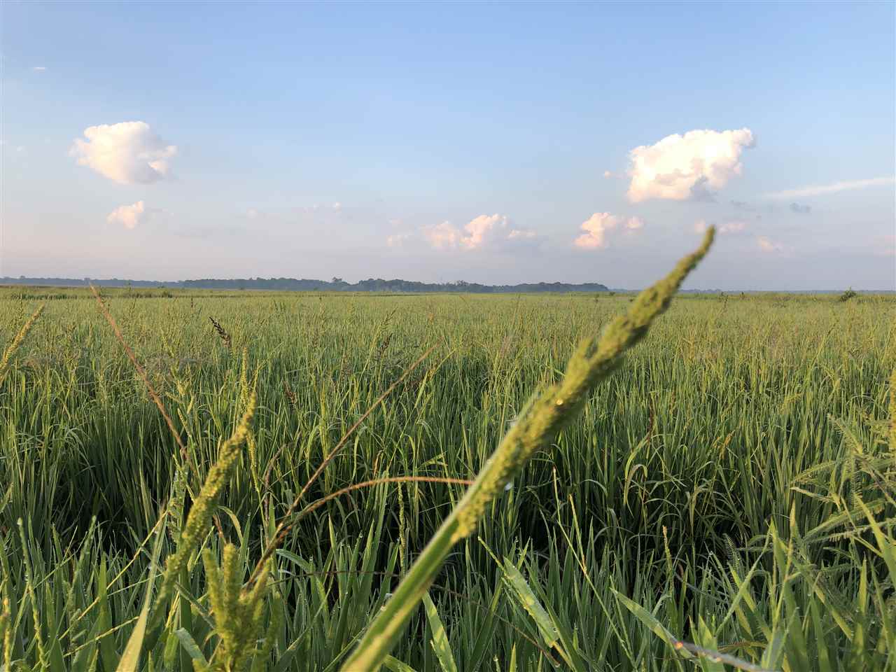McCrory - Farm