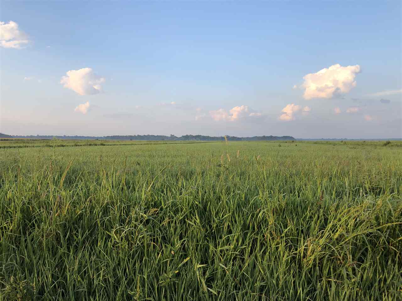 McCrory - Farm