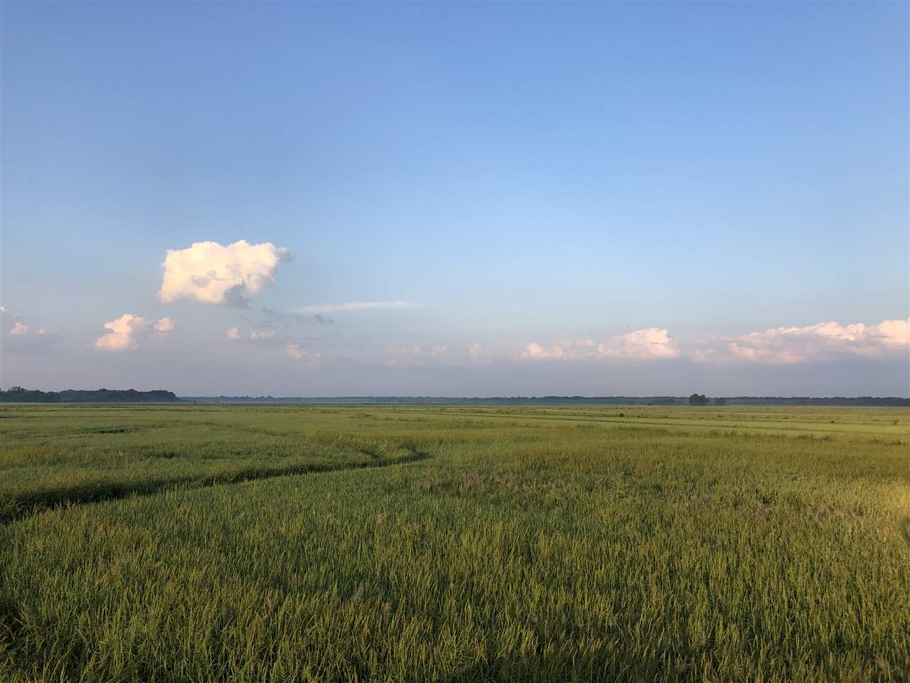 McCrory - Farm