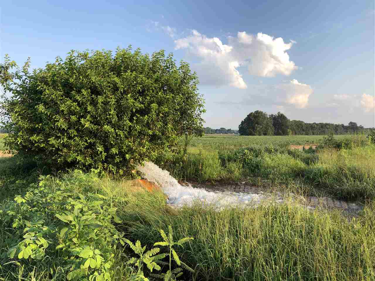 McCrory - Farm