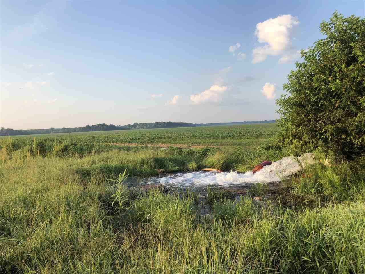 McCrory - Farm