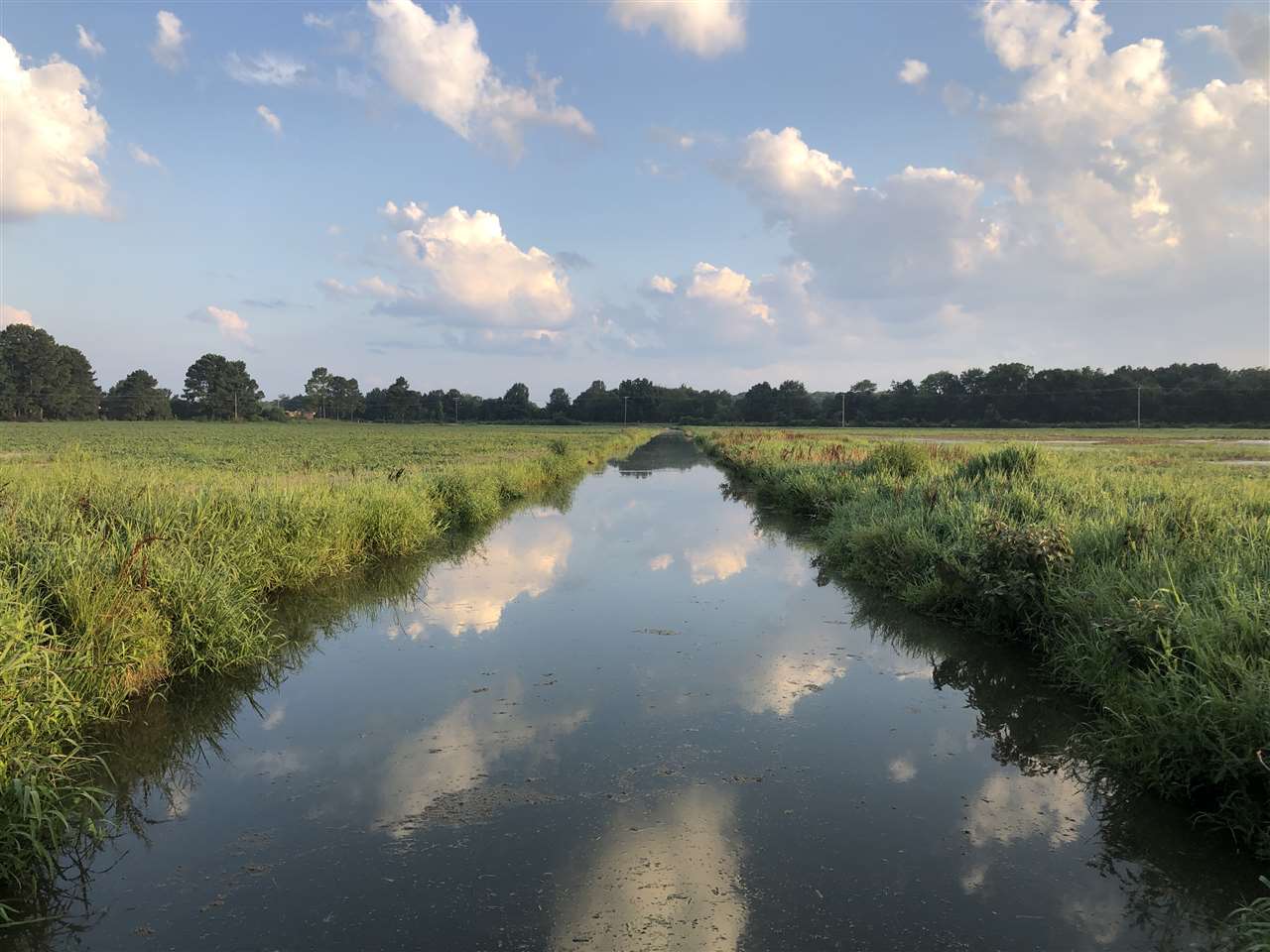 McCrory - Farm