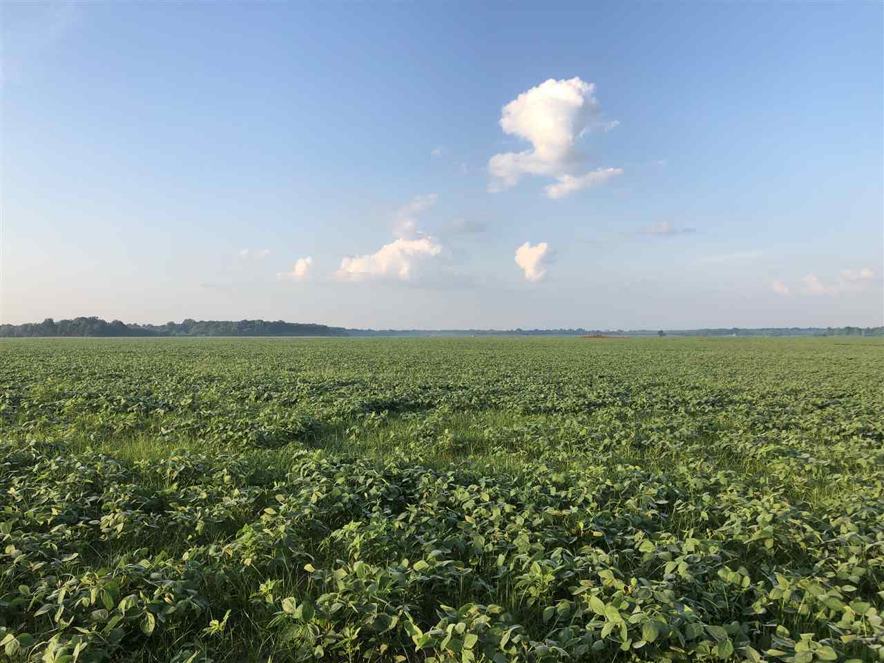 McCrory - Farm