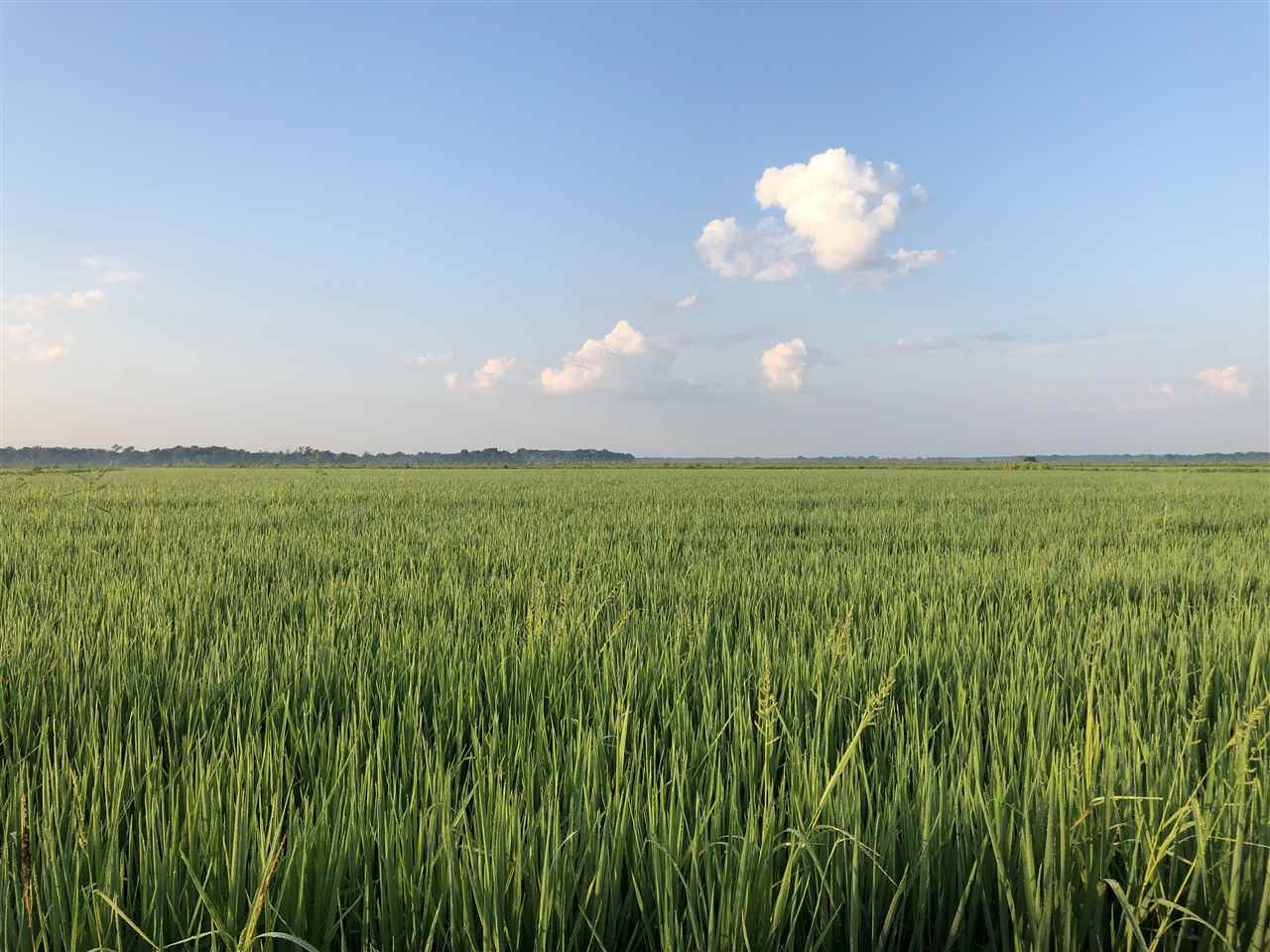 McCrory - Farm