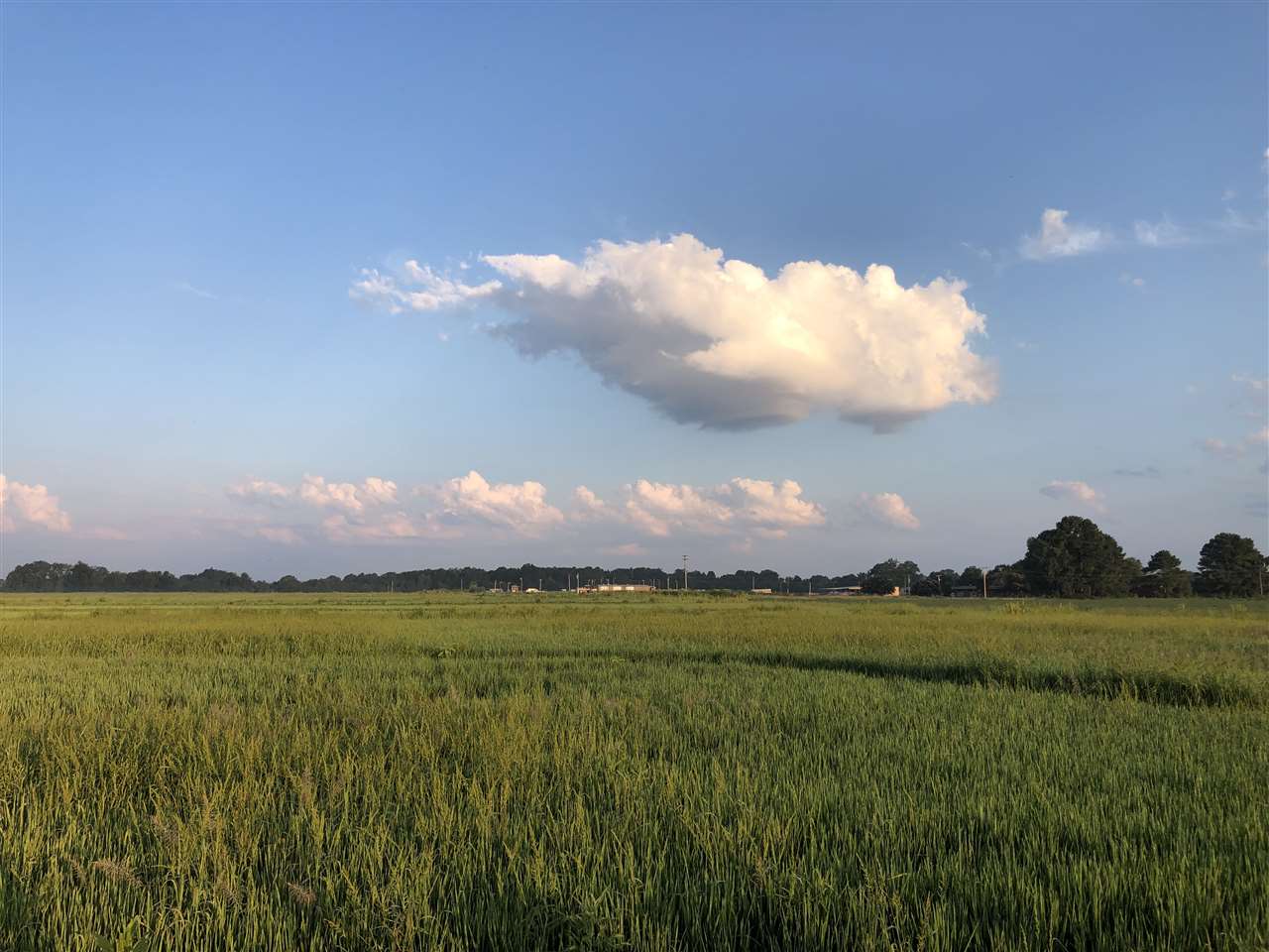 McCrory - Farm