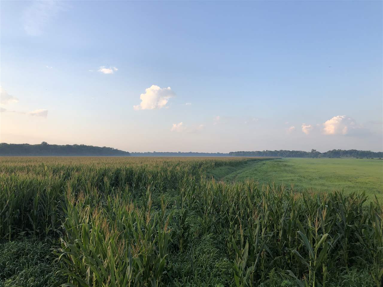 McCrory - Farm