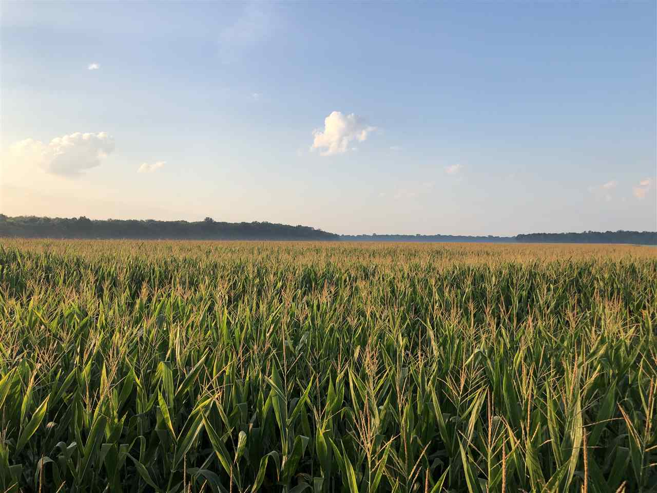 McCrory - Farm