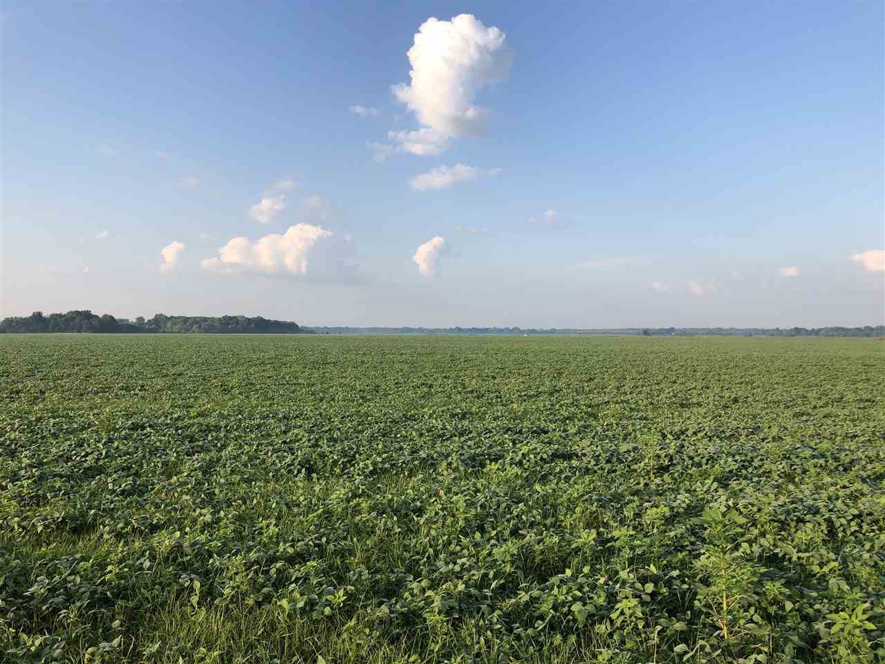 McCrory - Farm