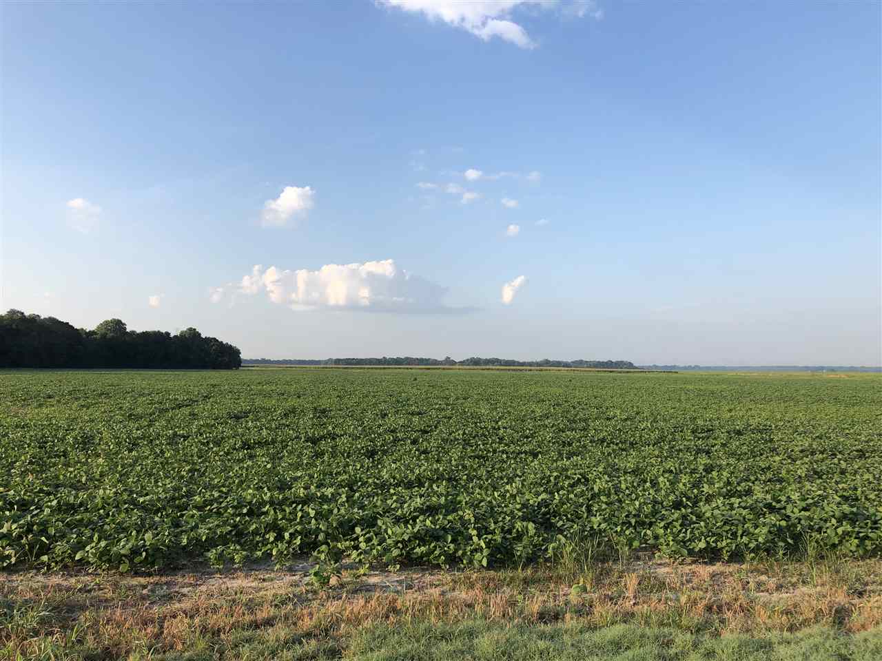 McCrory - Farm