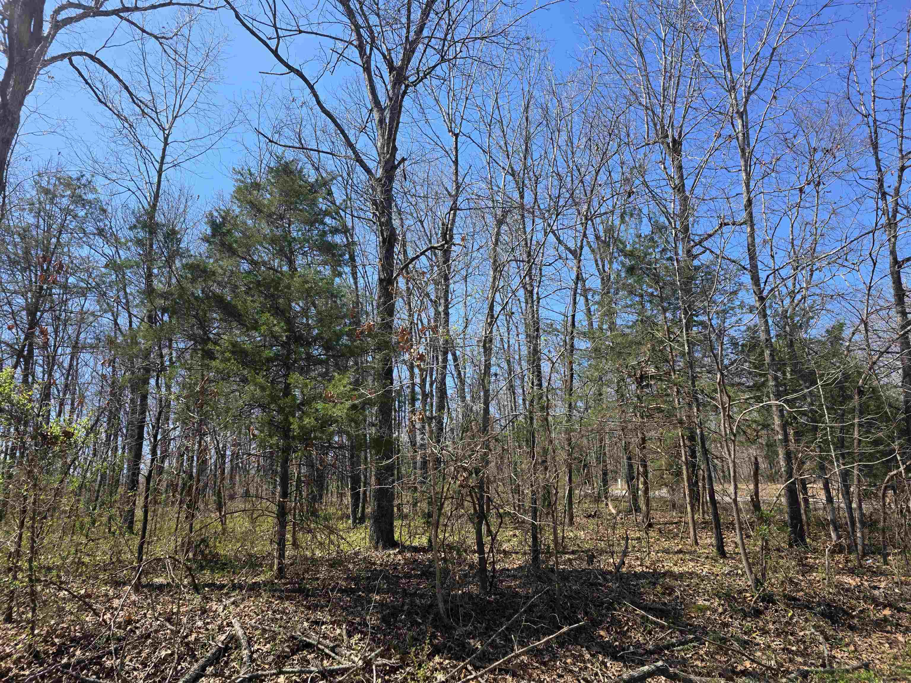 Beautiful corner lot in Ozark Acres. On the Corner of Frontier Dr and W. Lakeshore Drive. One street away from the Spring Lake boat launch and picnic area. This is a wooded lot with power and water available at the street. Several nice oak trees on the property. Frontier Drive is one of the main Rds in the Acres. There are 2 Lakes in Ozark Acres and lots of nature to see. Not far from Ole Hardy Town for shopping and dining or just sight-seeing. Spring River is not far away to enjoy some good trout fishing. Come take a look and pick your spot to build your get away cabin or your forever home.