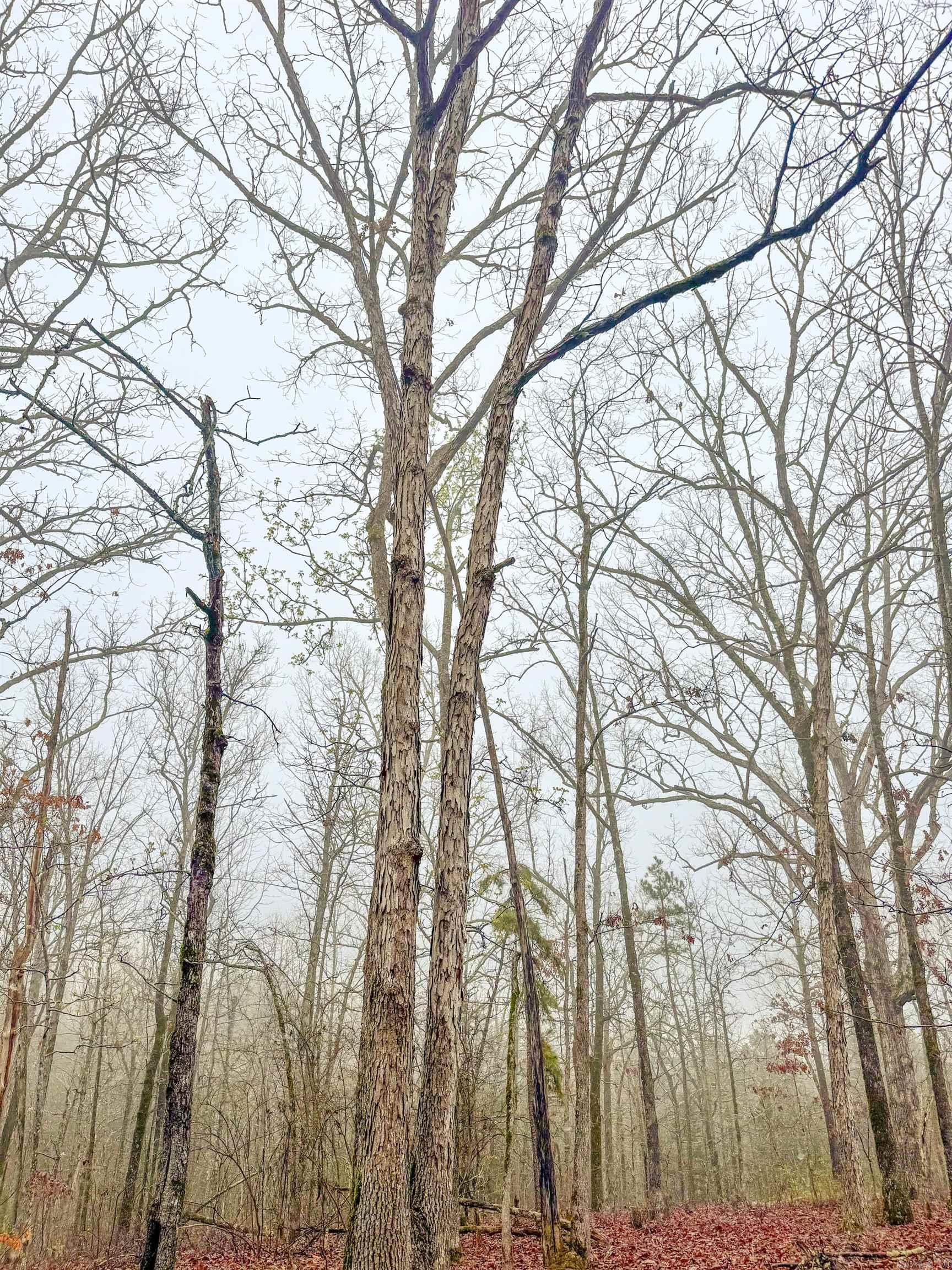 High Point - Land