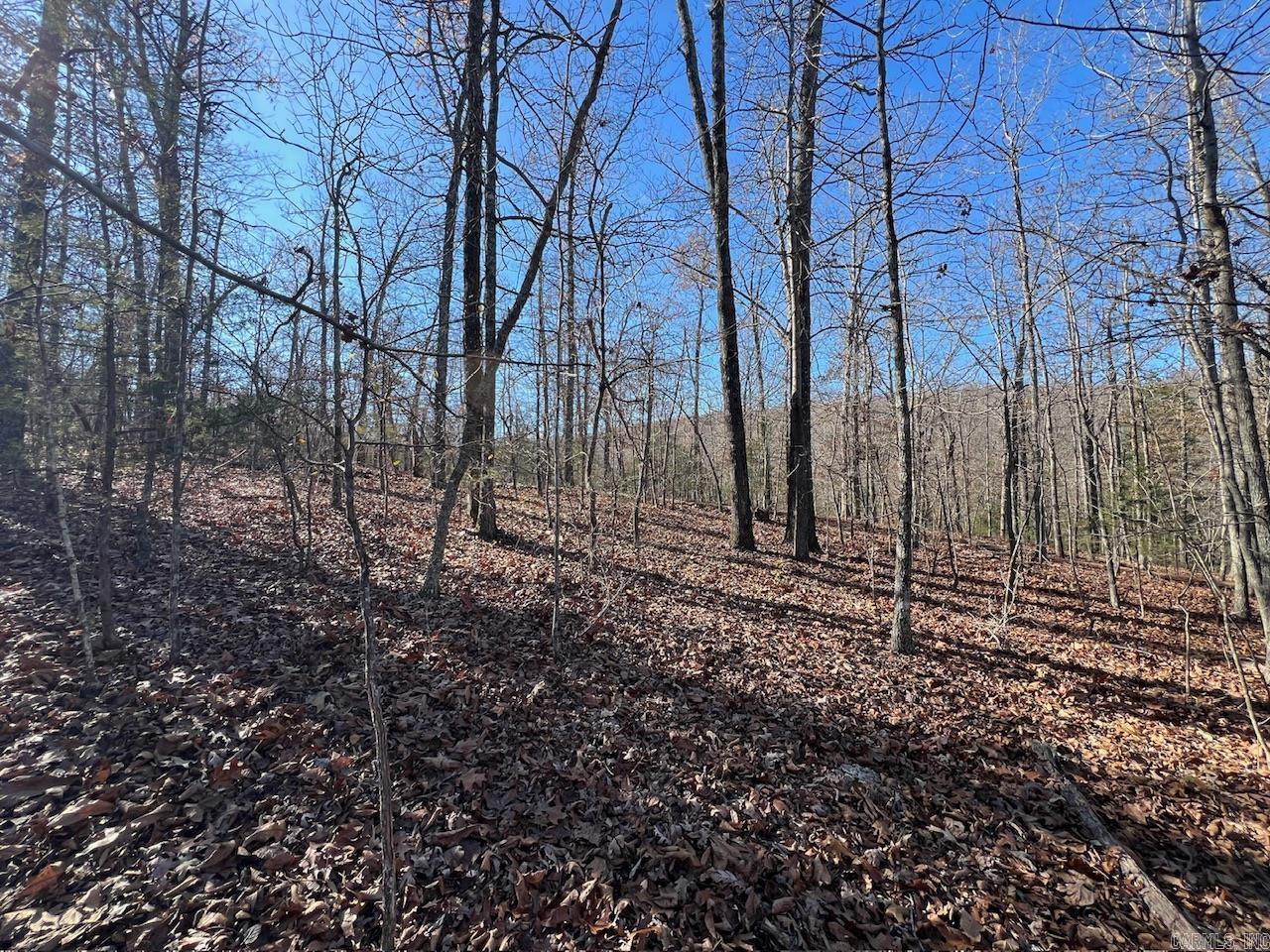 White Horse Mountain - Land