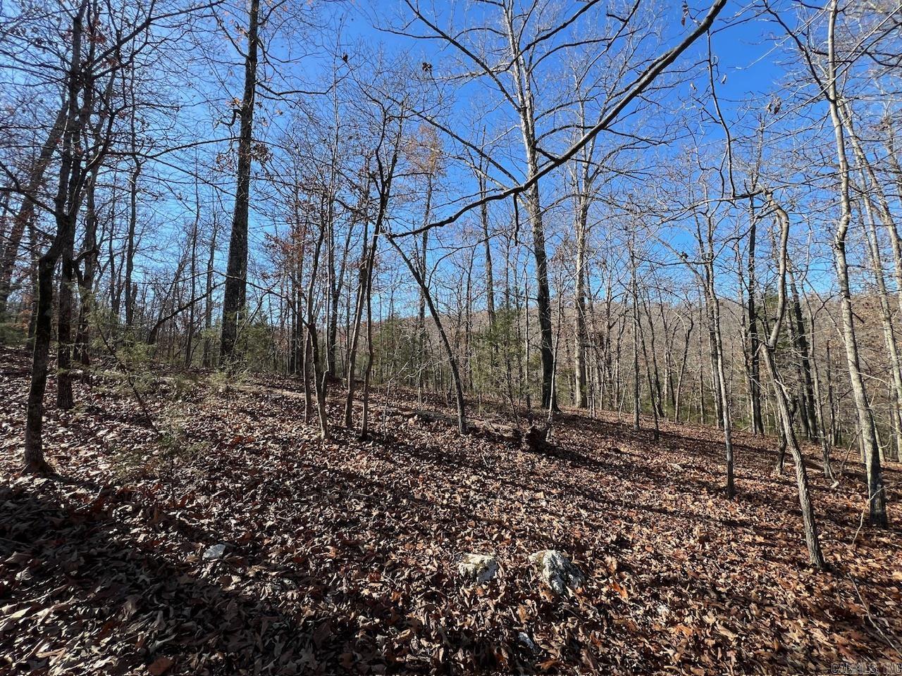 White Horse Mountain - Land
