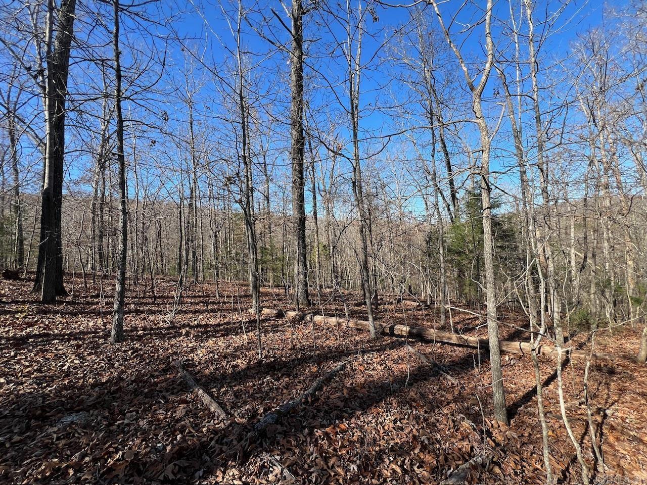 This 2.9 acre tract is completely wooded, remote and very close to White Horse Mountain Lake. Lots of deer and small game. No power, no water. Could be used as a permanent campsite, no building restrictions at all.