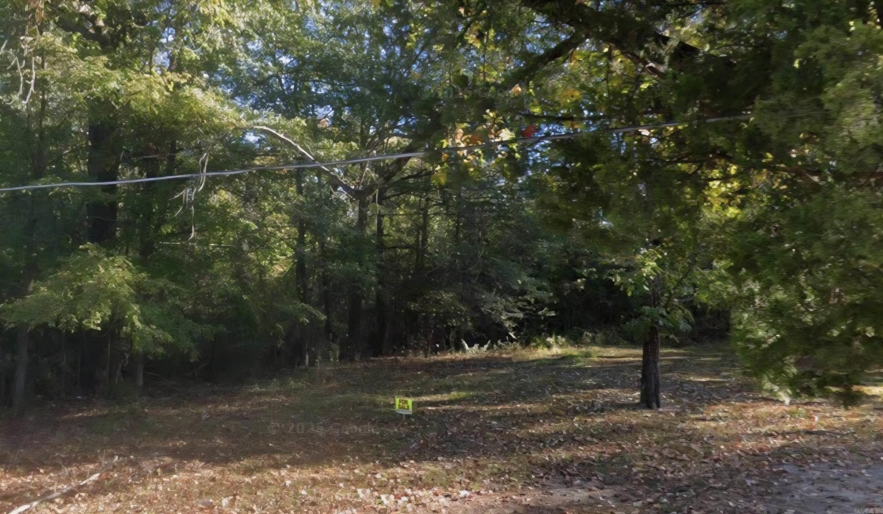 This is a flat .16 (+/-) acre lot that is partially wooded and ready for your new home in Pine Bluff. It is close too local amenities and minutes from Lake Saracen. Property conveys a Limited Warranty Deed. Call or text for more information.