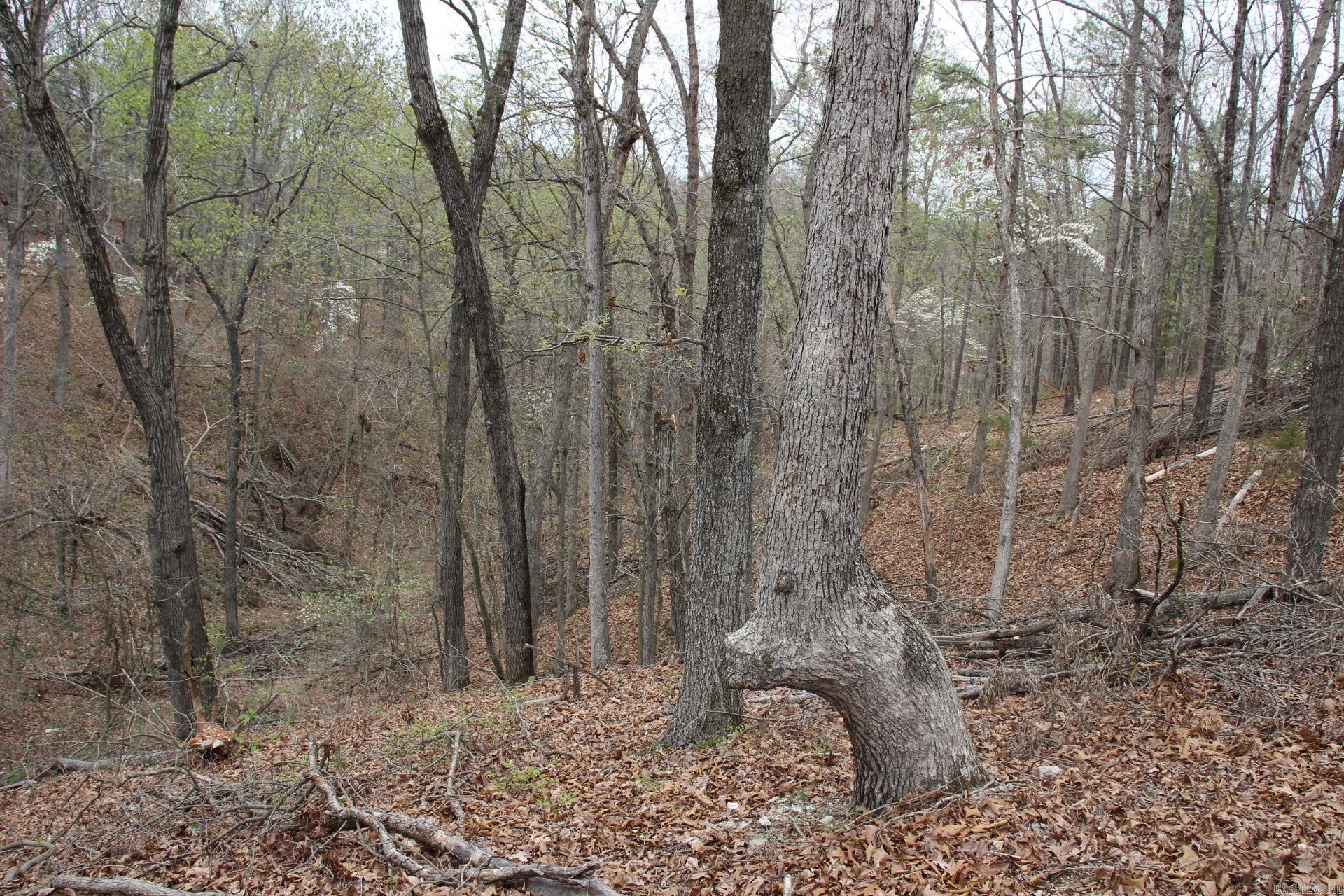 Not in Subdivision - Land