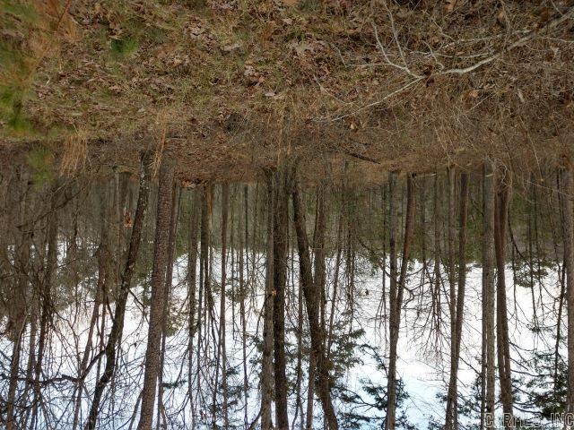 1.62 Acres in resort-style living community. Diamondhead is a private neighborhood, just a few minutes from Hot Springs. The community includes a PGA sanctioned  18-hole golf course, driving range, Olympic size swimming pool, children's playground, tennis/pickleball  & basketball courts. Lake Catherine State Park is close by with hiking trails, waterfalls, marina, nature programs and camping. 4 lots combine into one for 1 POA dues.