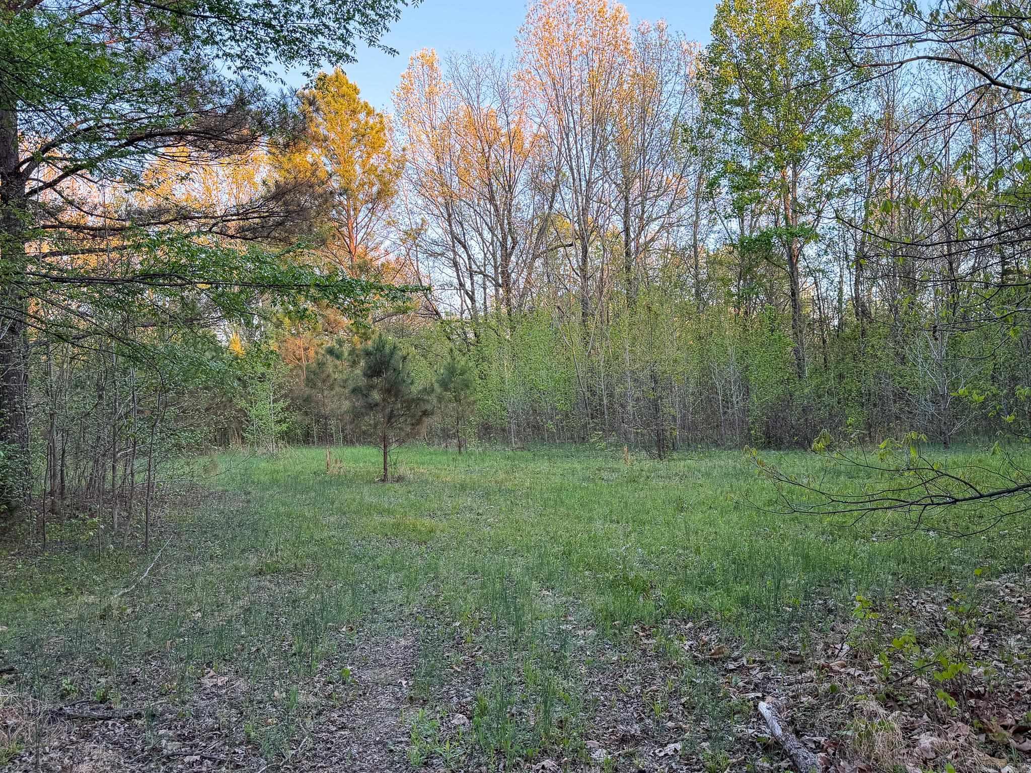 If you’ve been searching for space, privacy, and possibility—this is it. 20 +/- acres of beautiful, timbered land in the Brookland School District offering the perfect setting for your dream home or future development. Enjoy quiet country living surrounded by wildlife, while still being just a short drive to Jonesboro and Paragould. With utilities available through Craighead Electric Cooperative and Jonesboro City Water & Light and paved road access, this property is ready for your vision.