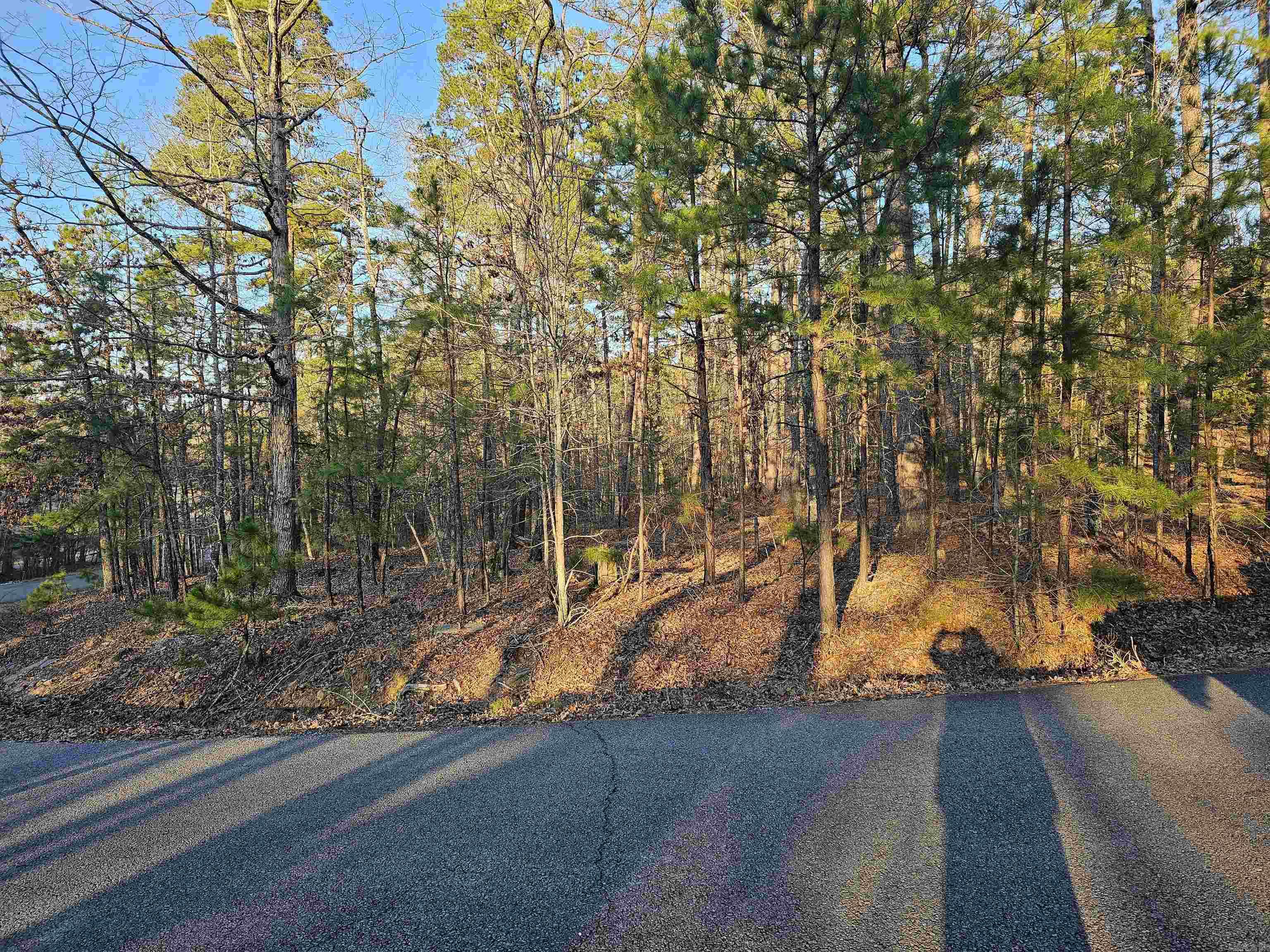 Beautiful lot surrounded by nice homes in a desirable Diamante Country Club atmosphere. See agent remarks for more details.