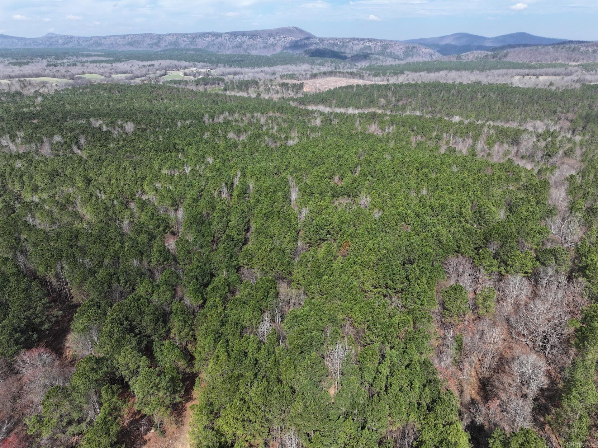 Discover approximately 40± acres of wooded Arkansas land in the Langley area, with exact acreage to be determined by a new survey. Conveniently located approximately 5 miles from Albert Pike Recreation Area, this property places you in the heart of one of southwest Arkansas' premier outdoor destinations.  Enjoy easy access to Little Missouri Falls, Shady Lake Recreation Area, and approximately 6± miles from 70 Landing at Lake Greeson, making this an ideal location for outdoor enthusiasts. The heavily wooded landscape offers excellent wildlife habitat, privacy, and the flexibility to create your own hunting property, recreational retreat, or future investment.  Whether you're looking to escape for the weekend or invest in Arkansas land with exceptional recreational appeal, this property offers outstanding potential in a prime outdoor location.  This property is also being offered together as an approximately 80± acre tract (MLS # 26008121)
