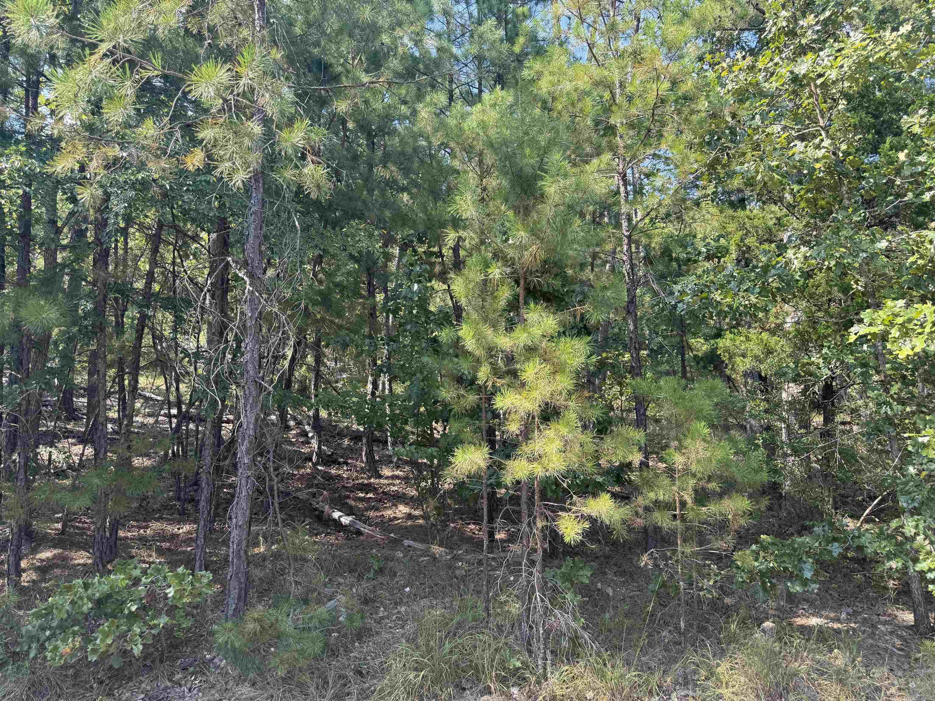 Wooded lot near Balboa Golf Course in Hot Springs Village! Located in a quiet area just down the road from the Balboa Golf Clubhouse, this property offers easy access to golf, dining, and village amenities. Paved roads and utilities (water, sewer, electric) are already in place, making it ready for your custom home. Enjoy the natural beauty and privacy of a wooded setting while being close to lakes, trails, and multiple golf courses. Perfect for building your dream home or a vacation getaway in America’s largest gated community.