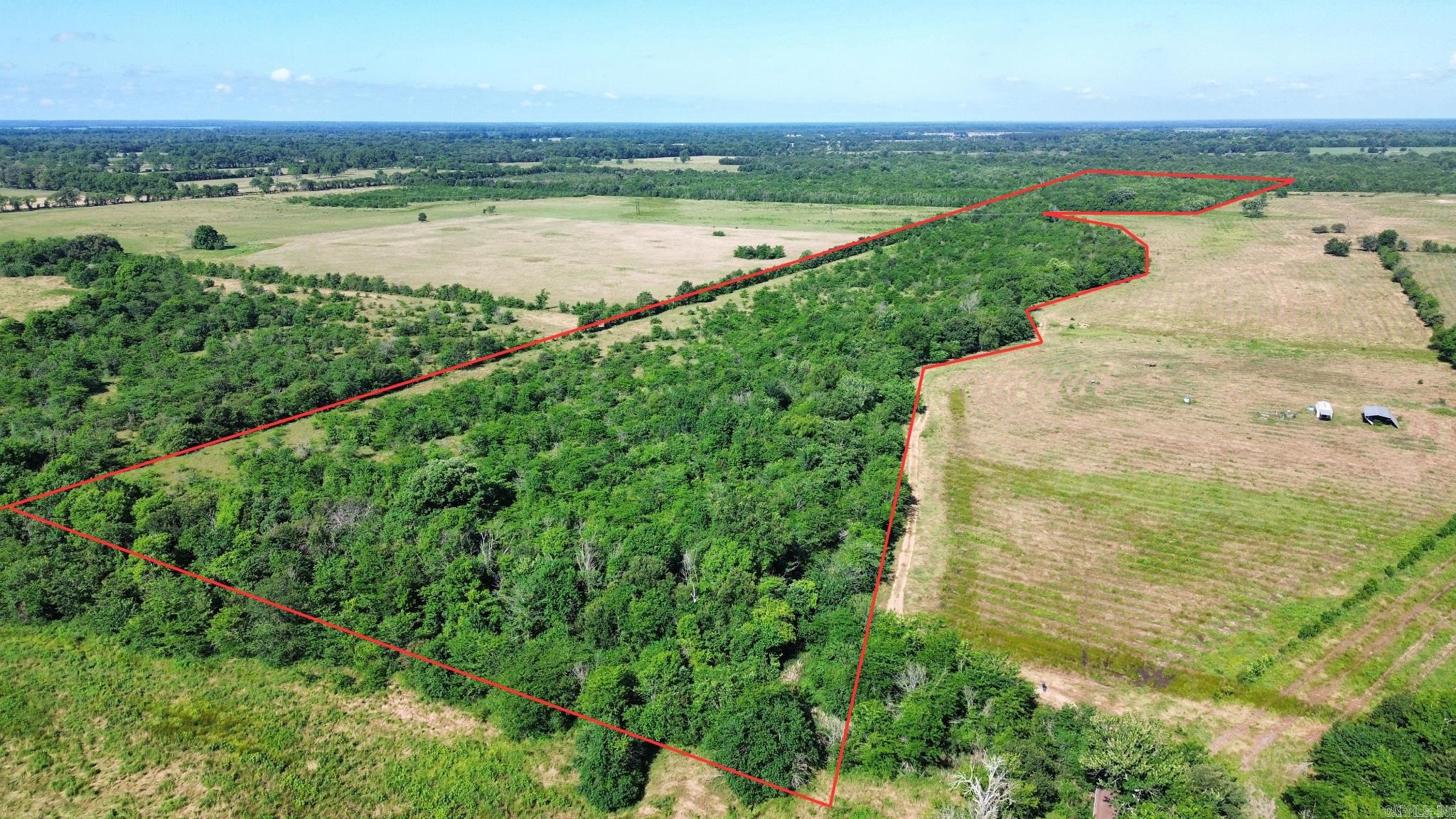 The Haney Creek Timber Tract is a standout recreational property in Southwest Arkansas, offering the combination of habitat, location, and hunting potential that serious outdoorsmen seek. Featuring productive bottomland timber, Haney Creek frontage, and neighboring agricultural fields, this tract provides ideal conditions for growing and holding trophy whitetail deer.  Known for its exceptional deer hunting opportunities, the property also supports abundant small game, making it an outstanding destination for outdoor recreation. The mix of mature timber, creek corridors, and nearby agricultural ground creates a diverse habitat that attracts and sustains wildlife throughout the year.  Conveniently located just 4 miles from Ashdown and approximately 20 miles from Texarkana, the property provides easy access while maintaining the privacy and seclusion expected from a premier hunting tract.  (Final price tbd by a new survey and price per acre.)