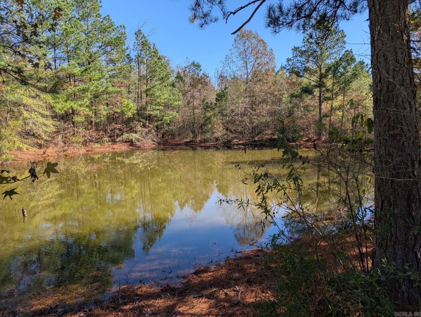 01-08-10 - Land
