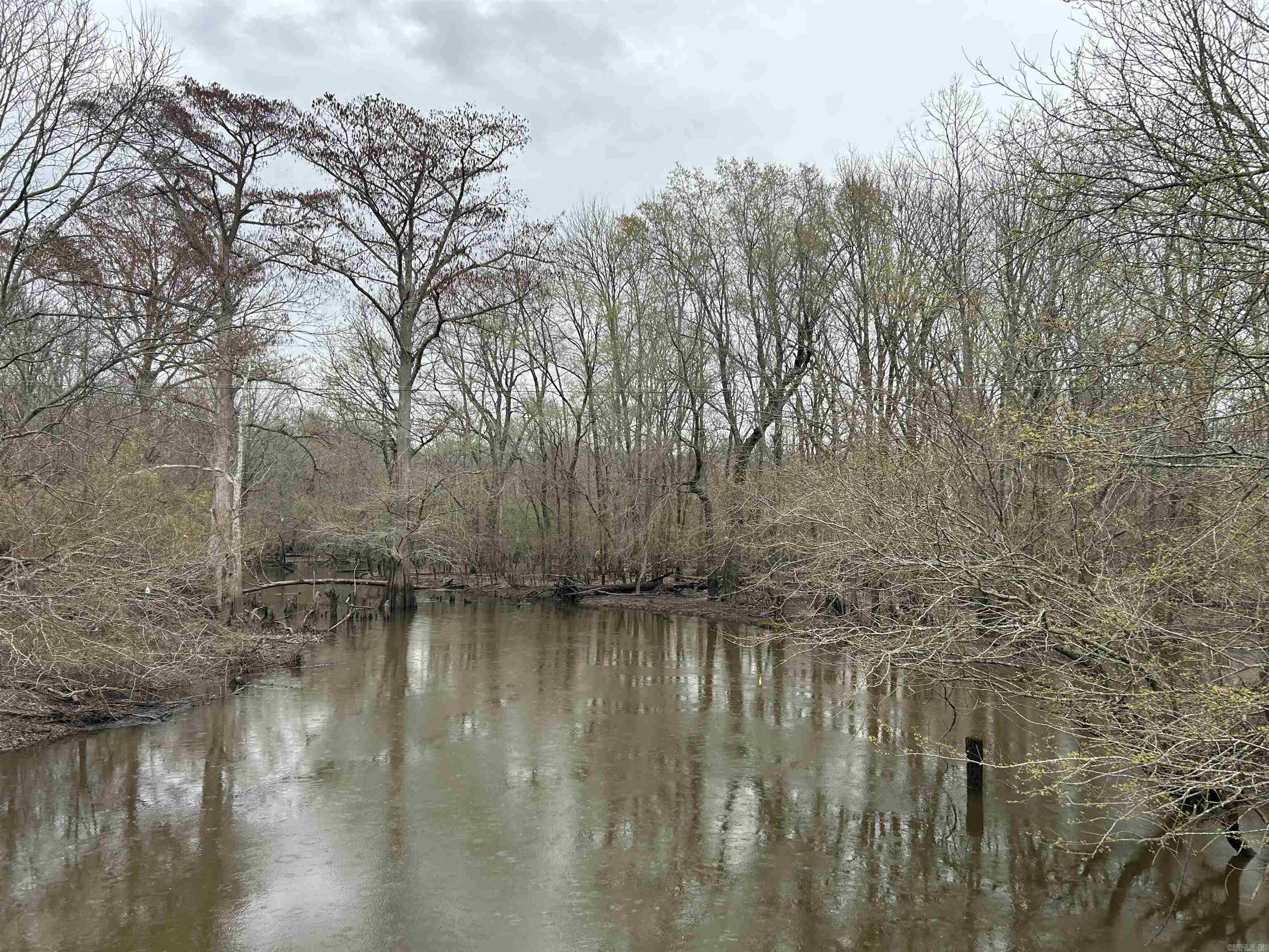Flooding timber, tillable acreage, onsite irrigation and located in the heart of the Mississippi Flyway! Approximately 2,500 feet of Second Creek runs through the south of the property, with flooding of surrounding timber typically occurring at the beginning of each year. The natural flooding provides an ideal habitat for waterfowl each year, along with an excellent and proven habitat for deer and turkey. The agricultural land is host to a well on the East side of SFC 255, with two risers on the West side of SFC 255. Soybeans have been the crop most recently planted. Paved county road access to the property!  More photos and information to come soon!