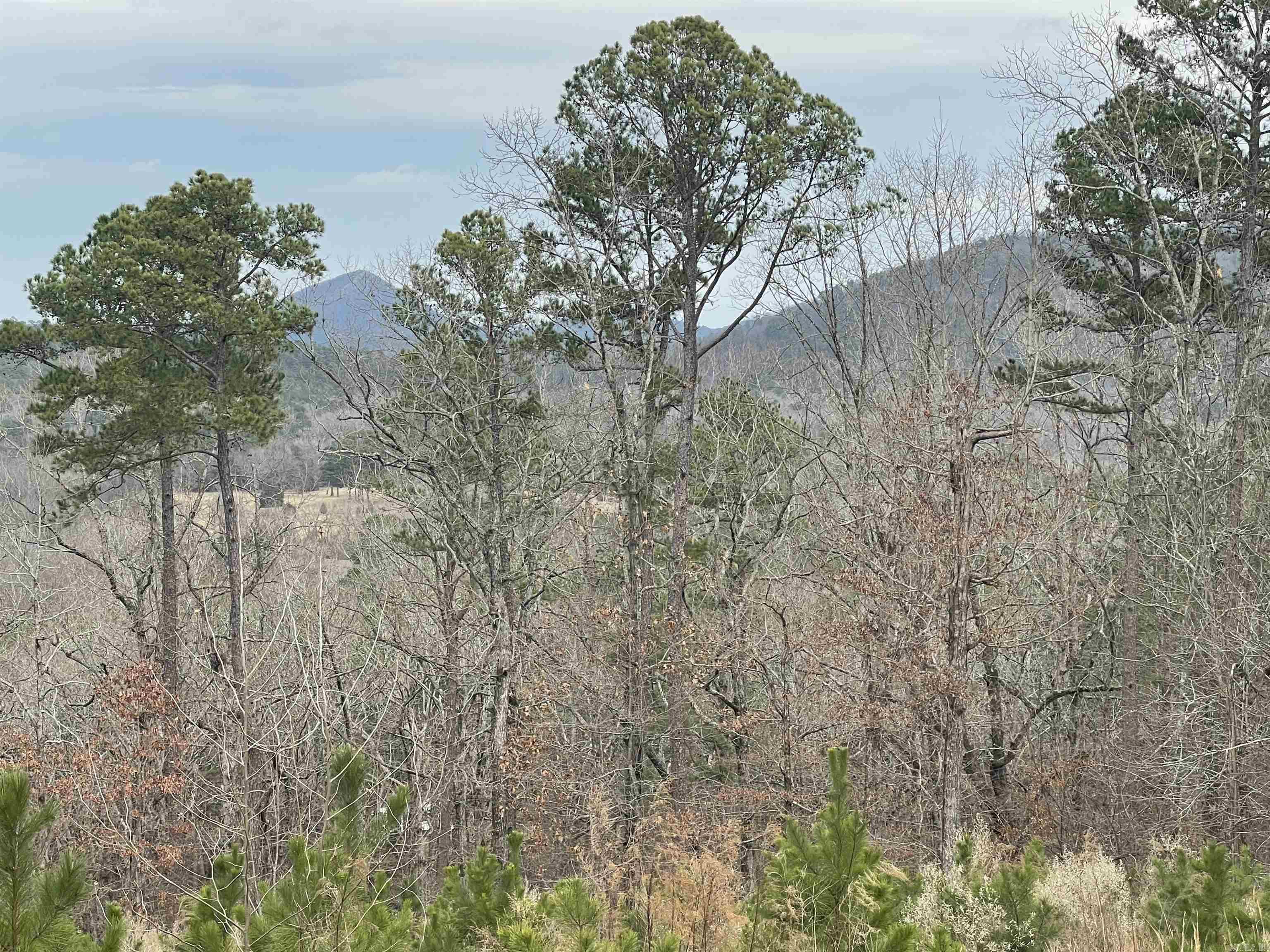 Ridgefield Estates - Land