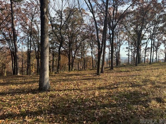 Orchard Hill - Land