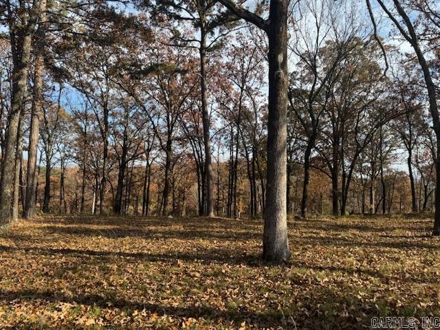 Beautiful Orchard Hill building lot with fabulous view and amazing building site.  In city limits and on Conway Corp.  Minimum building square footage is 2800.  Subject to final city plat approval.