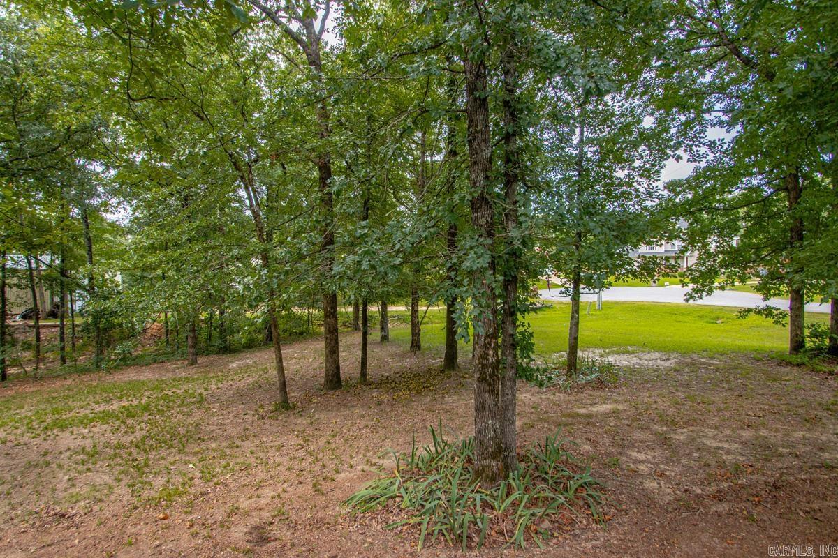 White Oak Pond Phase III - Residential